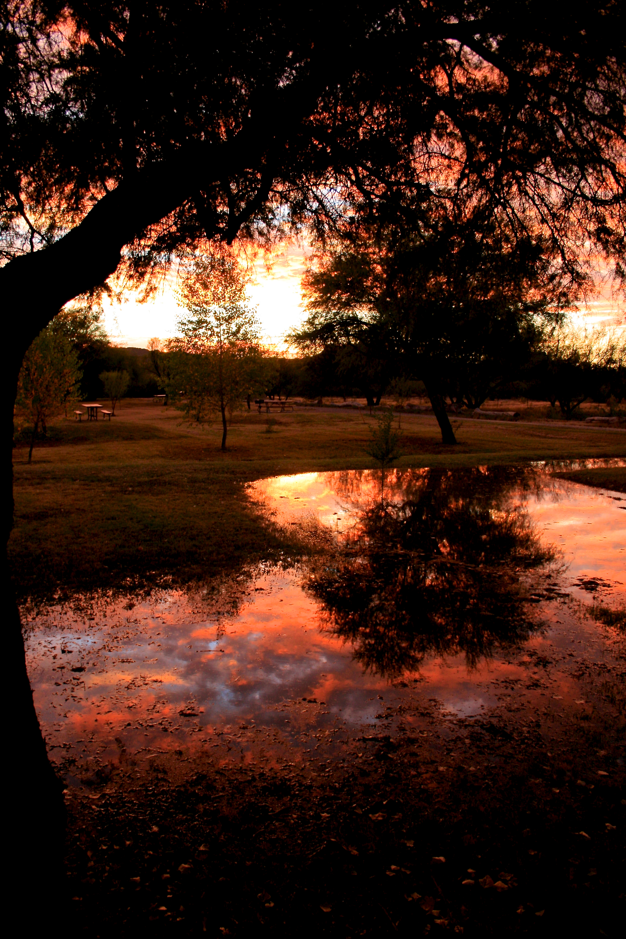 Cottonwood Campground