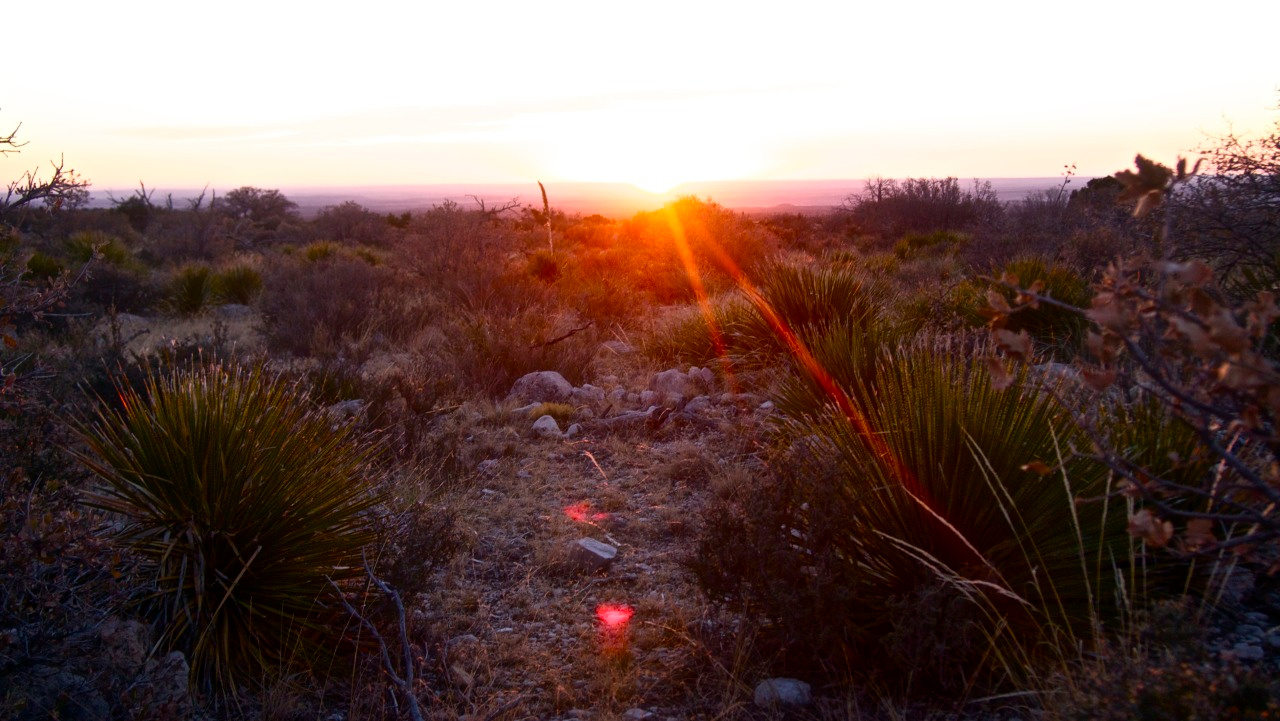 Guadalupe Mountains National Park