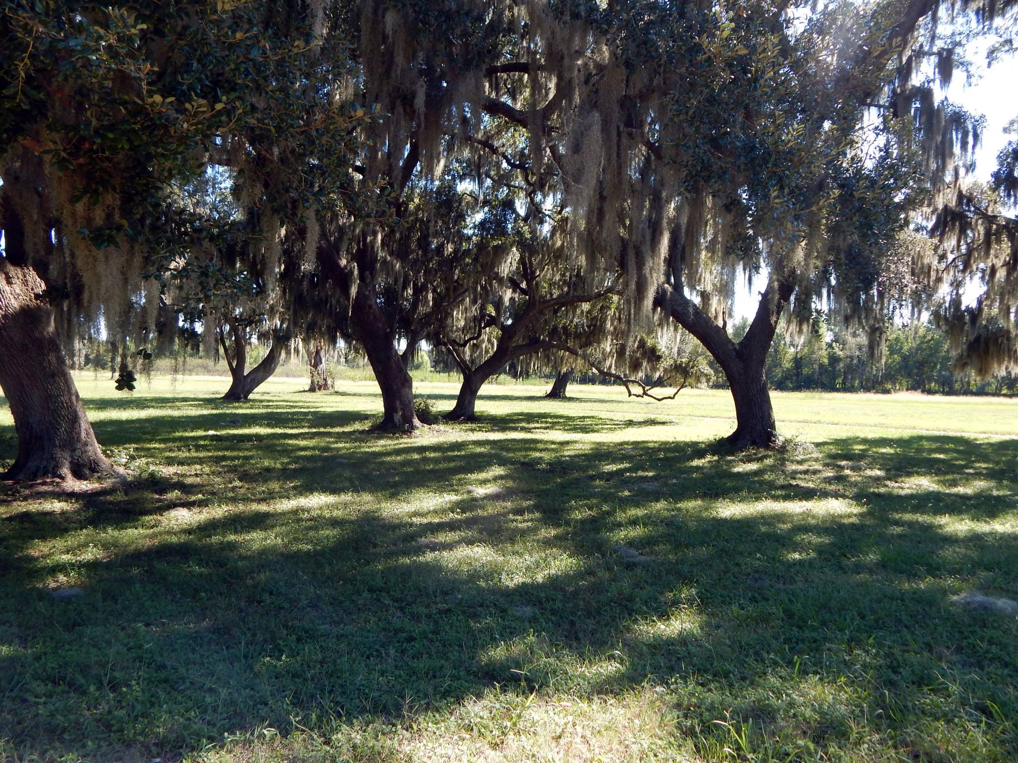Brazos Bend State Park