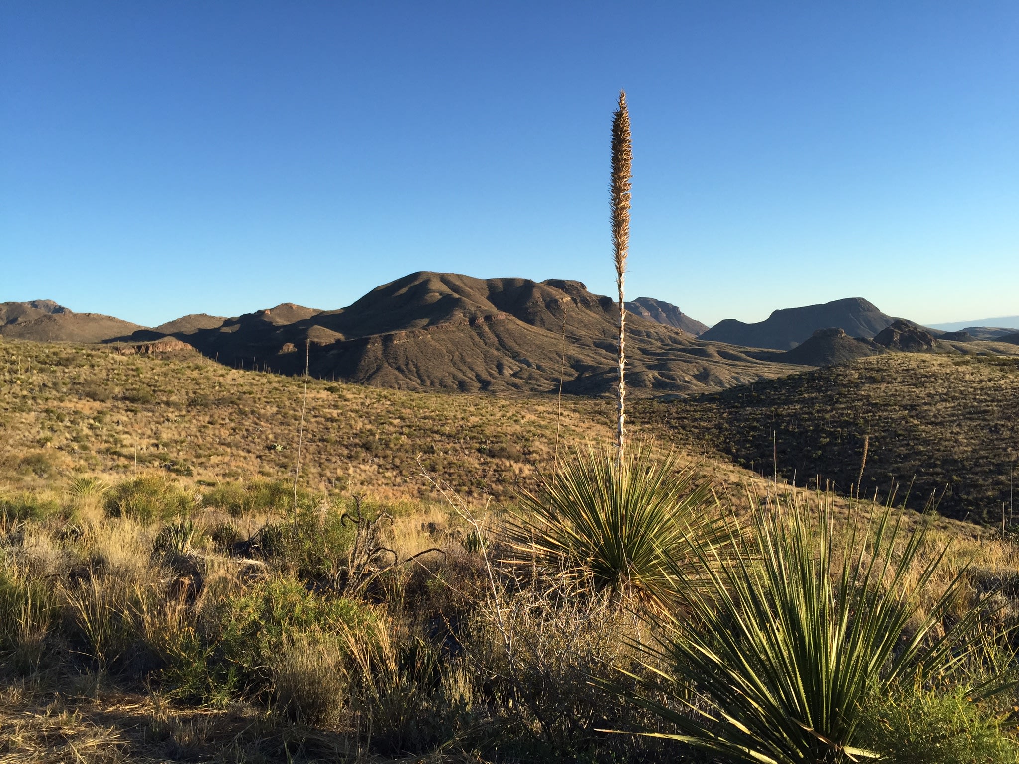 Big Bend National Park