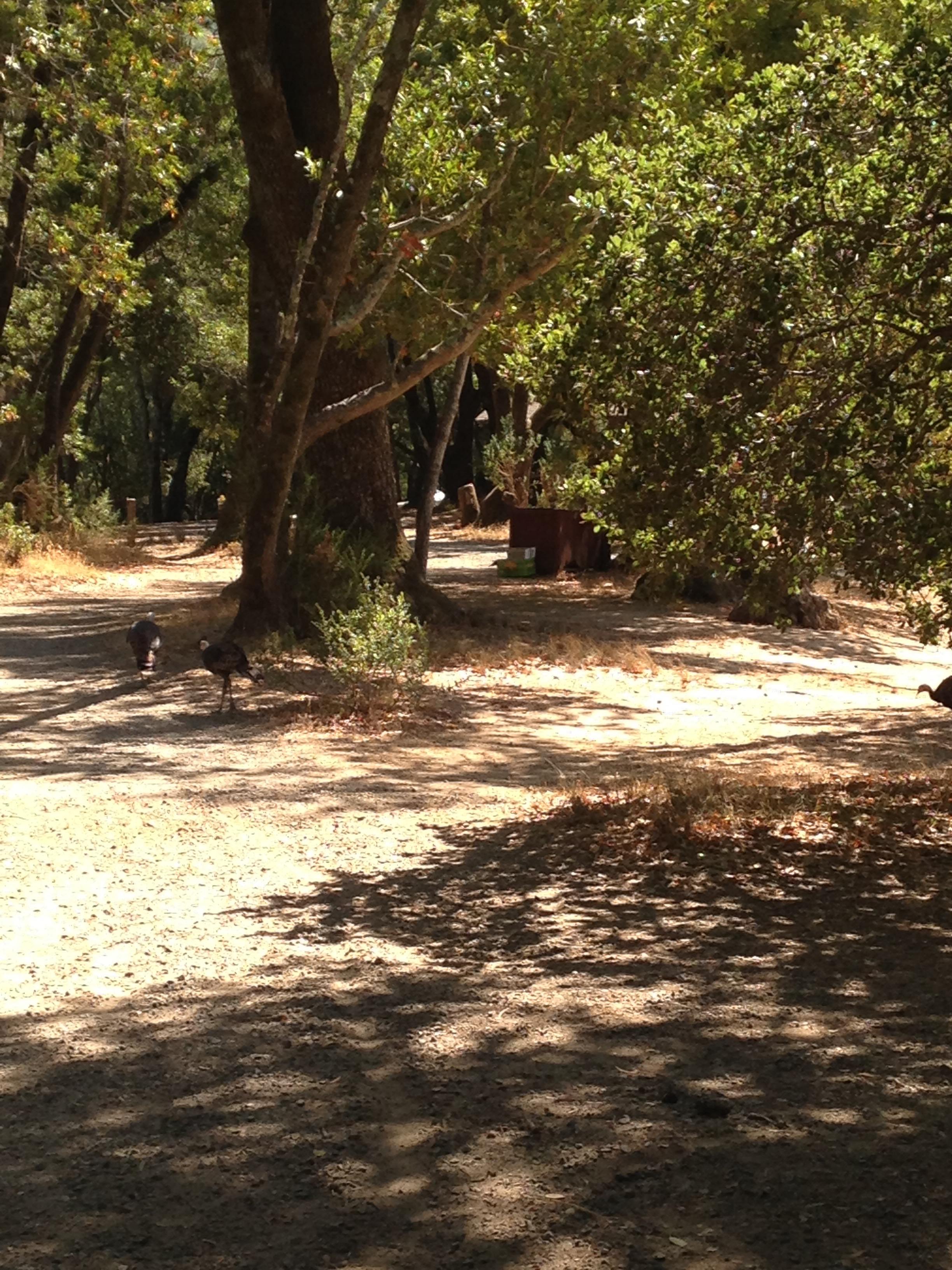China Camp State Park