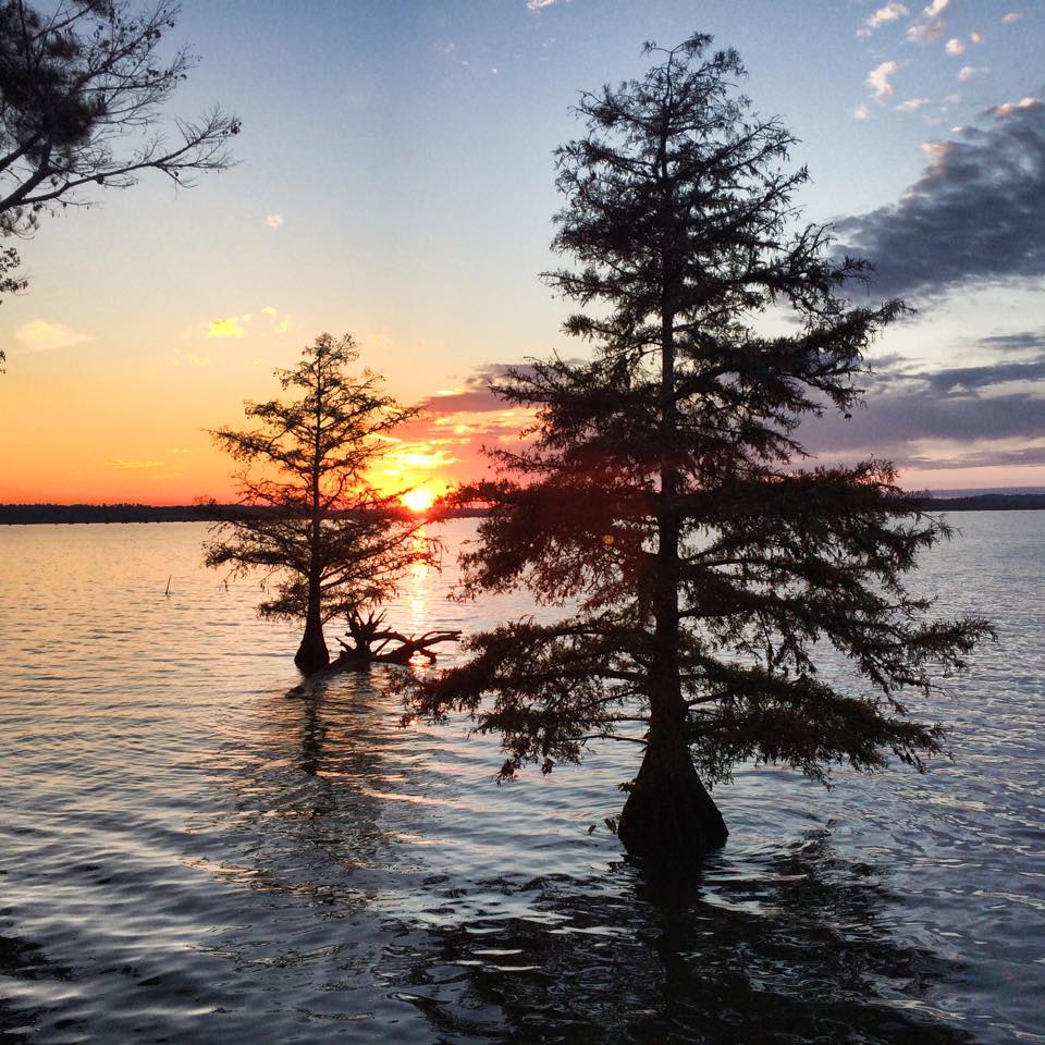 Martin Dies, Jr. State Park