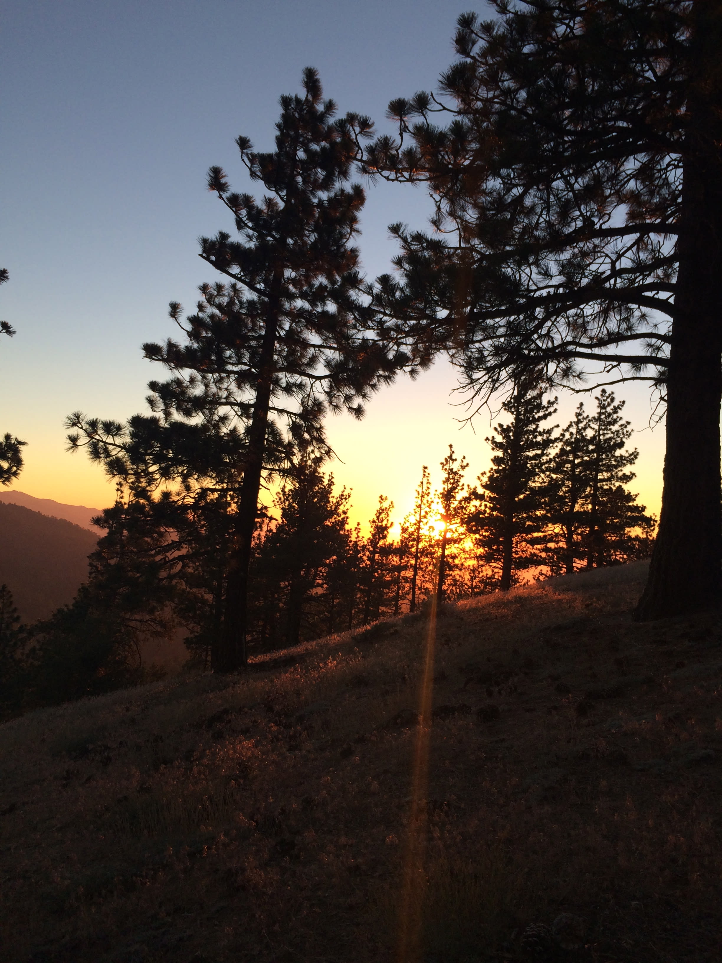 Table Mountain Campground