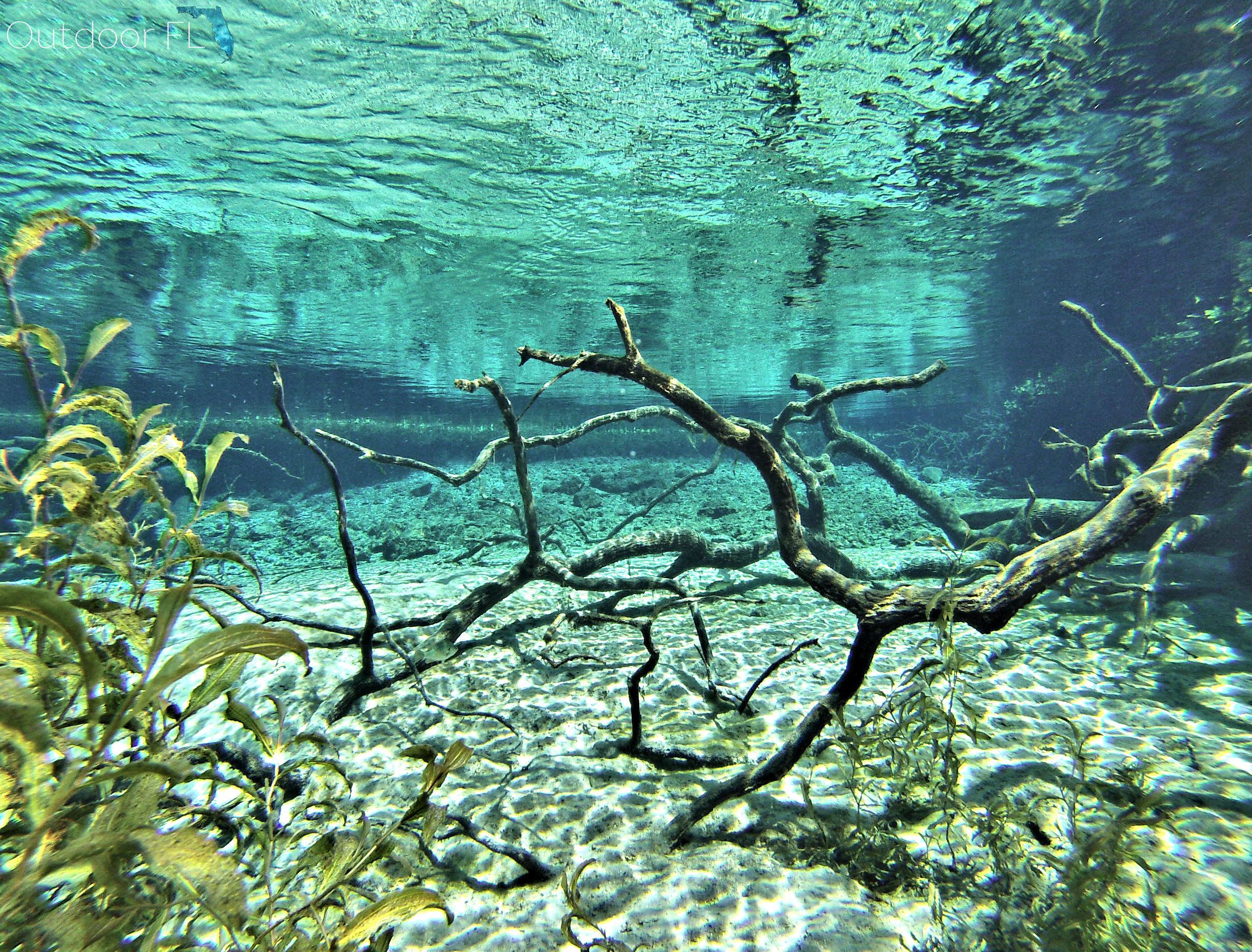 Rainbow Springs State Park