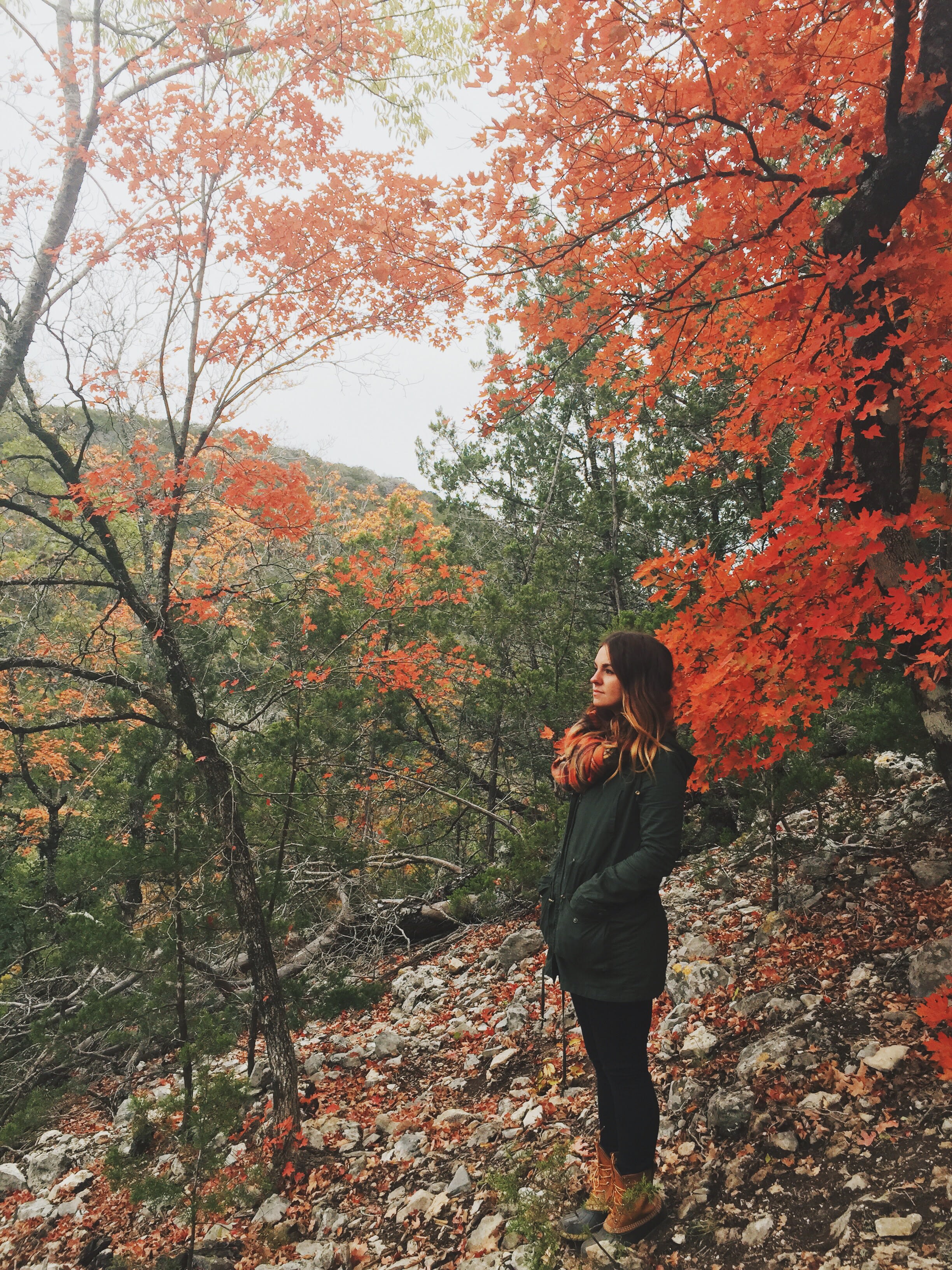 Lost Maples State Natural Area