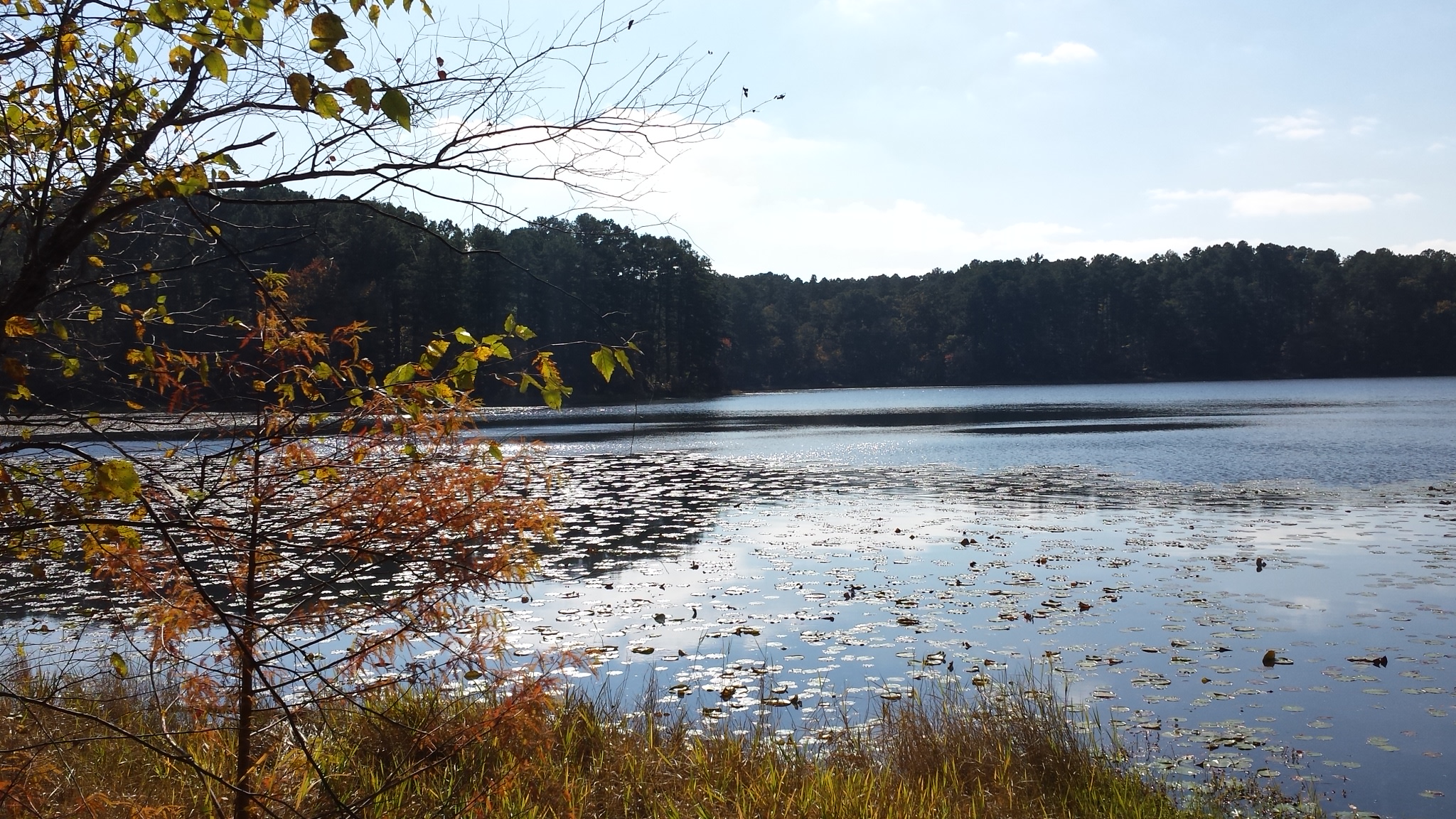 Daingerfield State Park