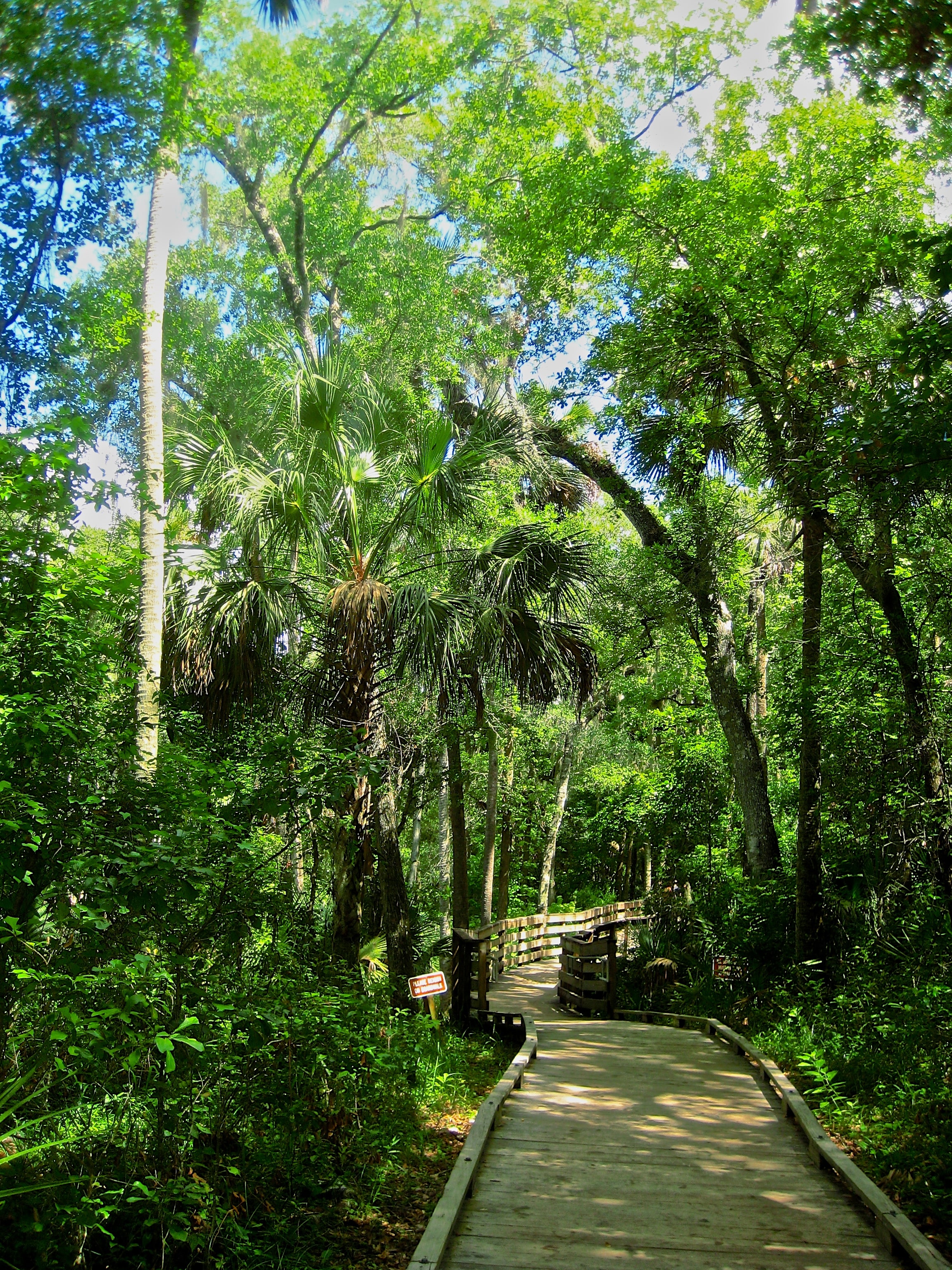 Blue Spring State Park