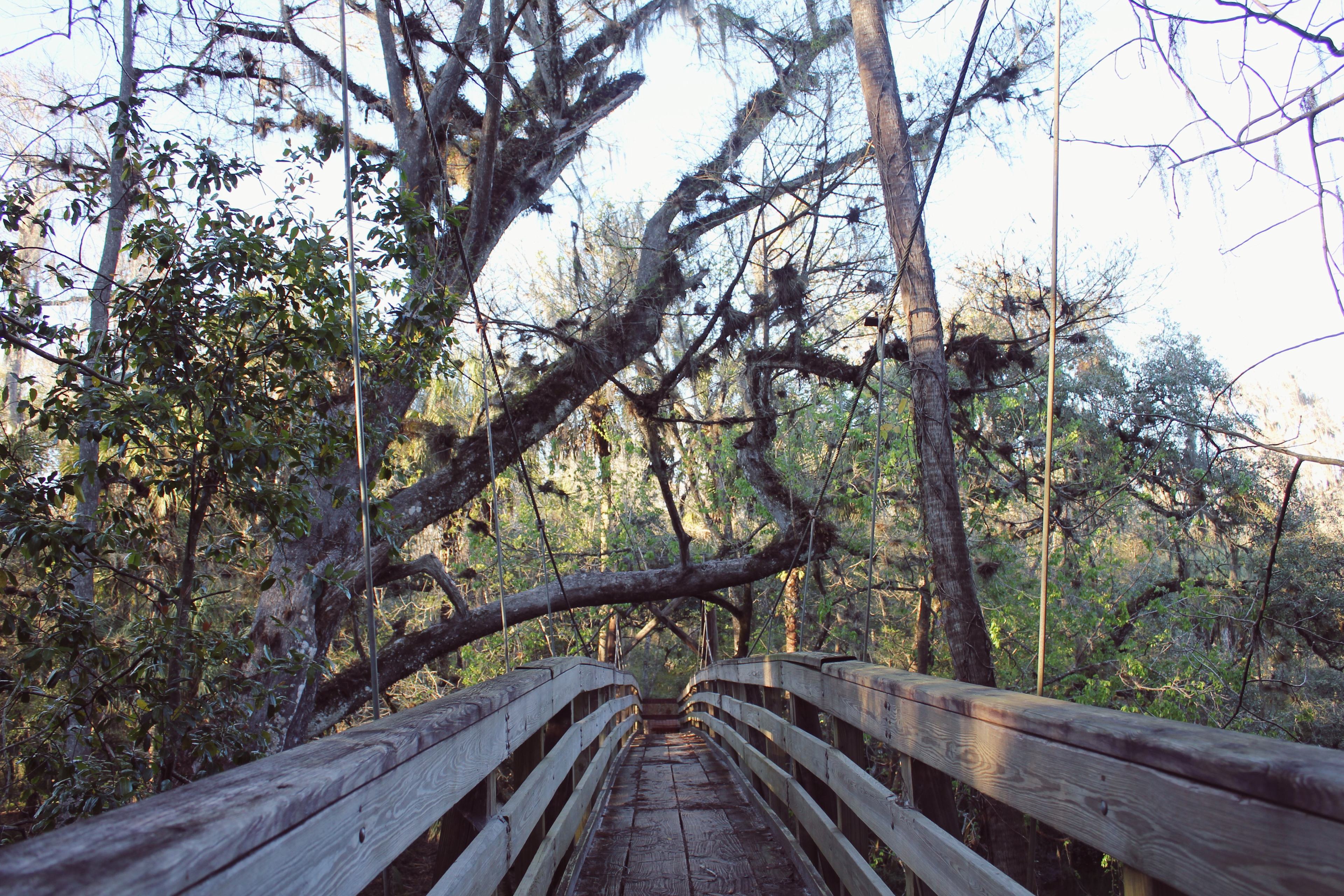 Hillsborough River State Park