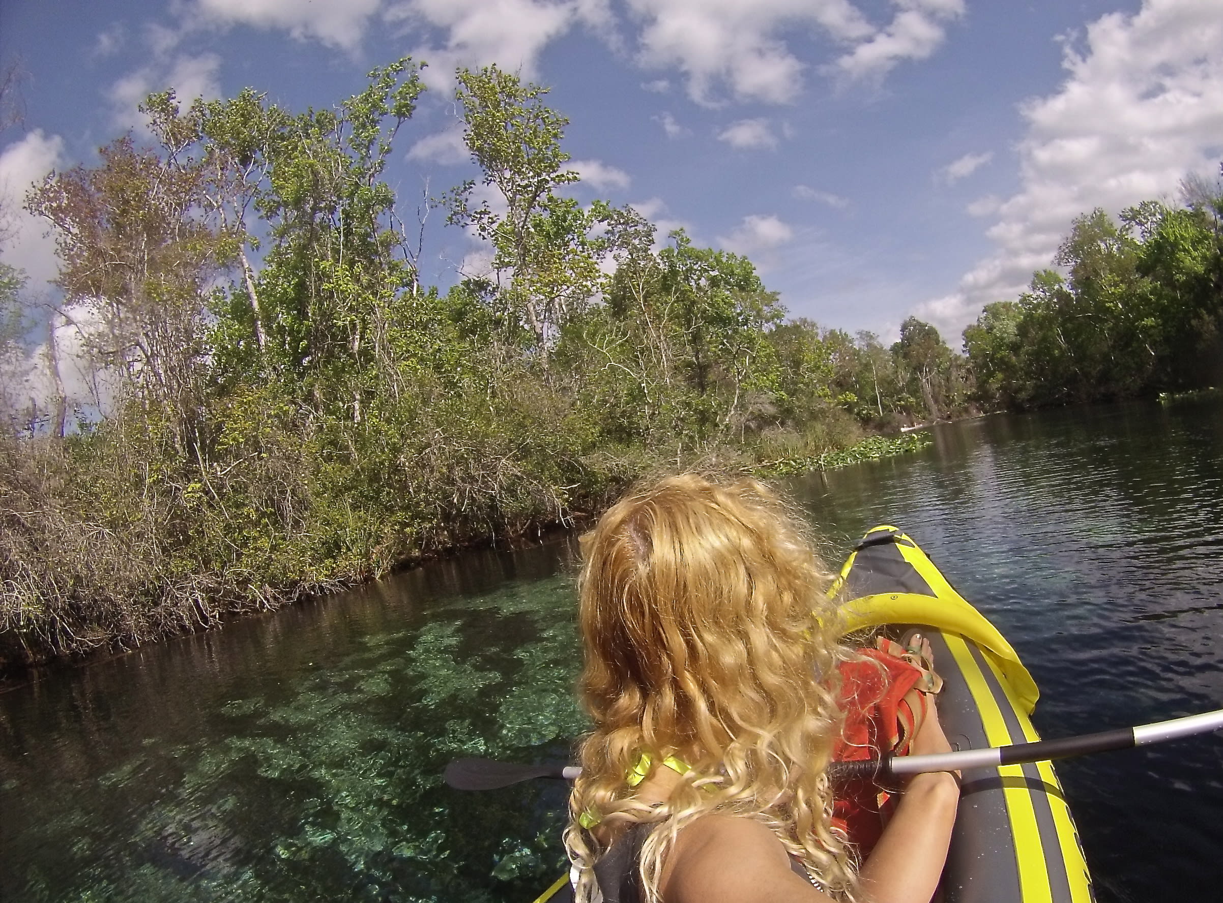 Alexander Springs Recreation Area and Campground