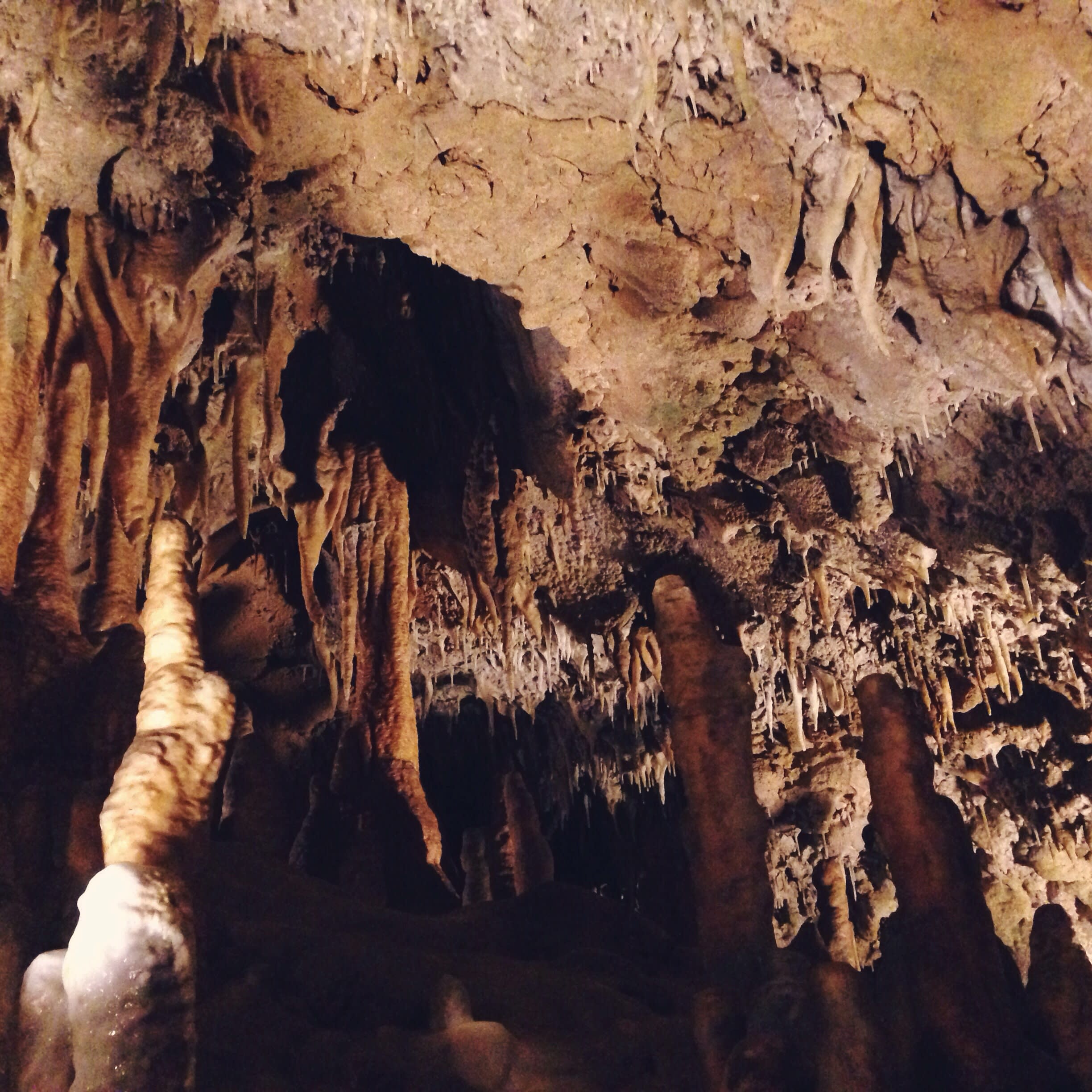 Florida Caverns State Park