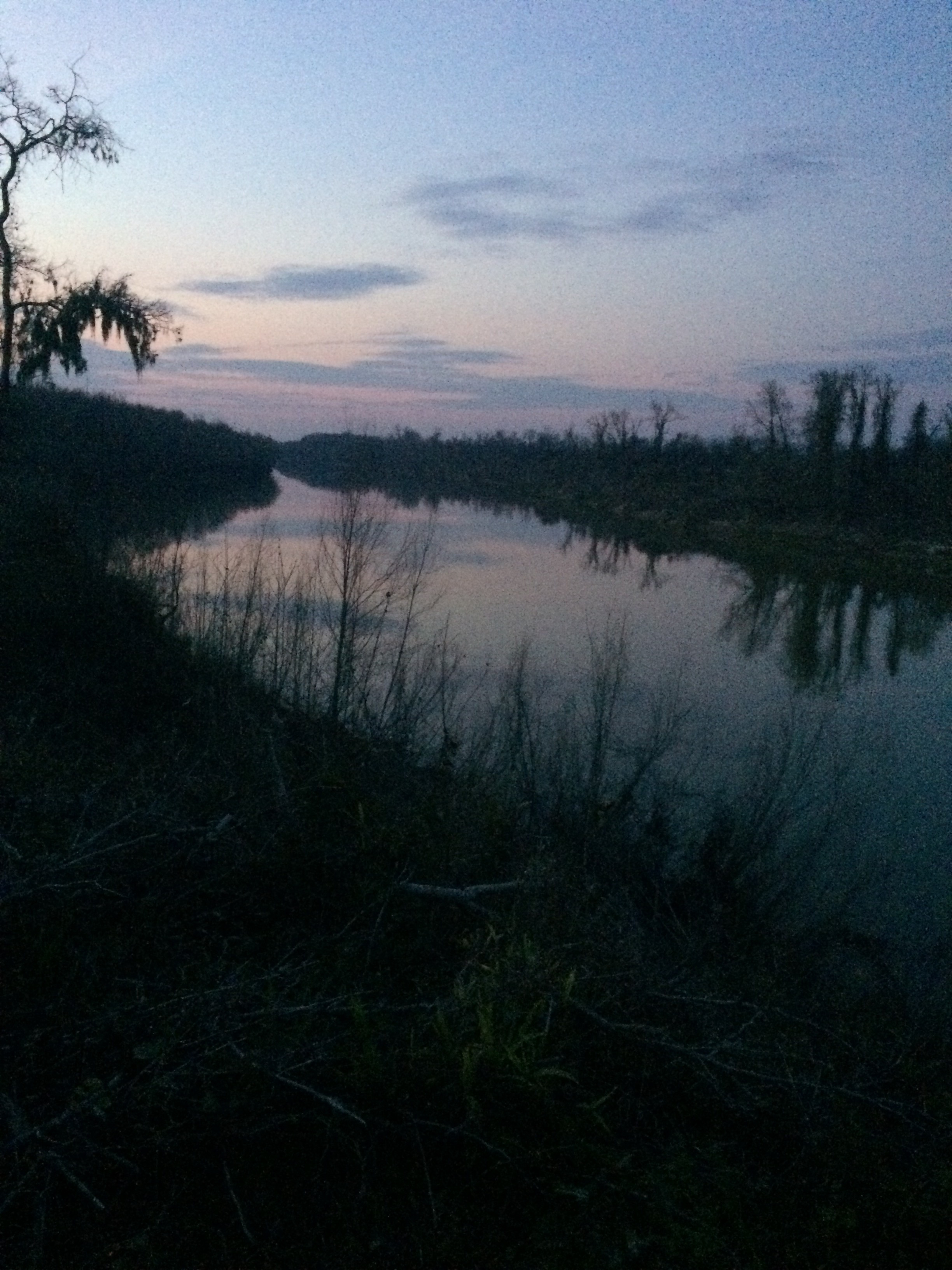Stephen F. Austin Campground