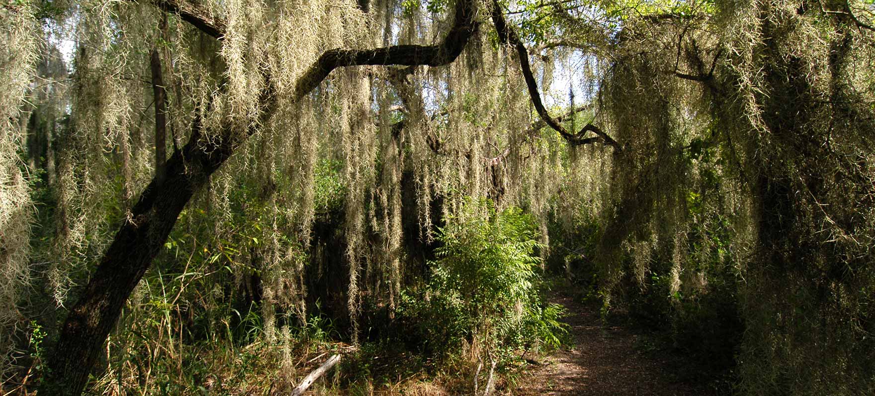 Bentsen-Rio Grande Valley State Park