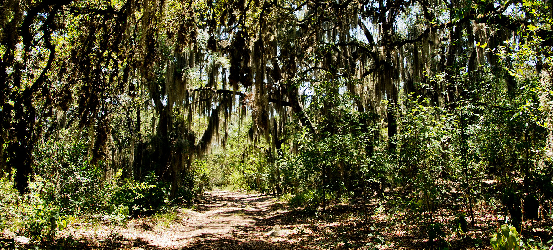 Government Canyon State Natural Area