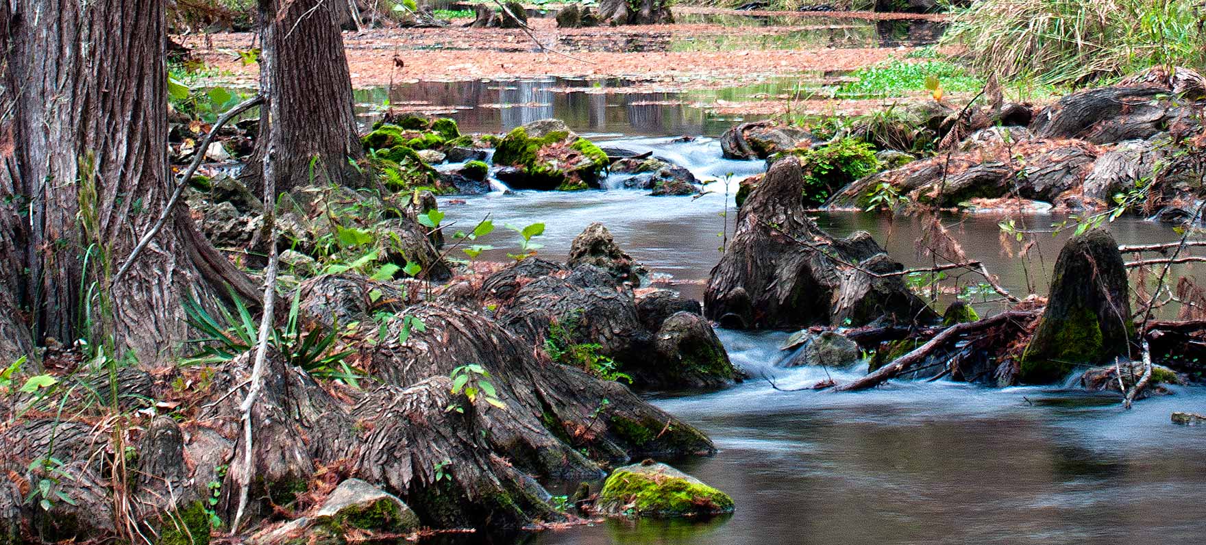 Guadalupe River State Park