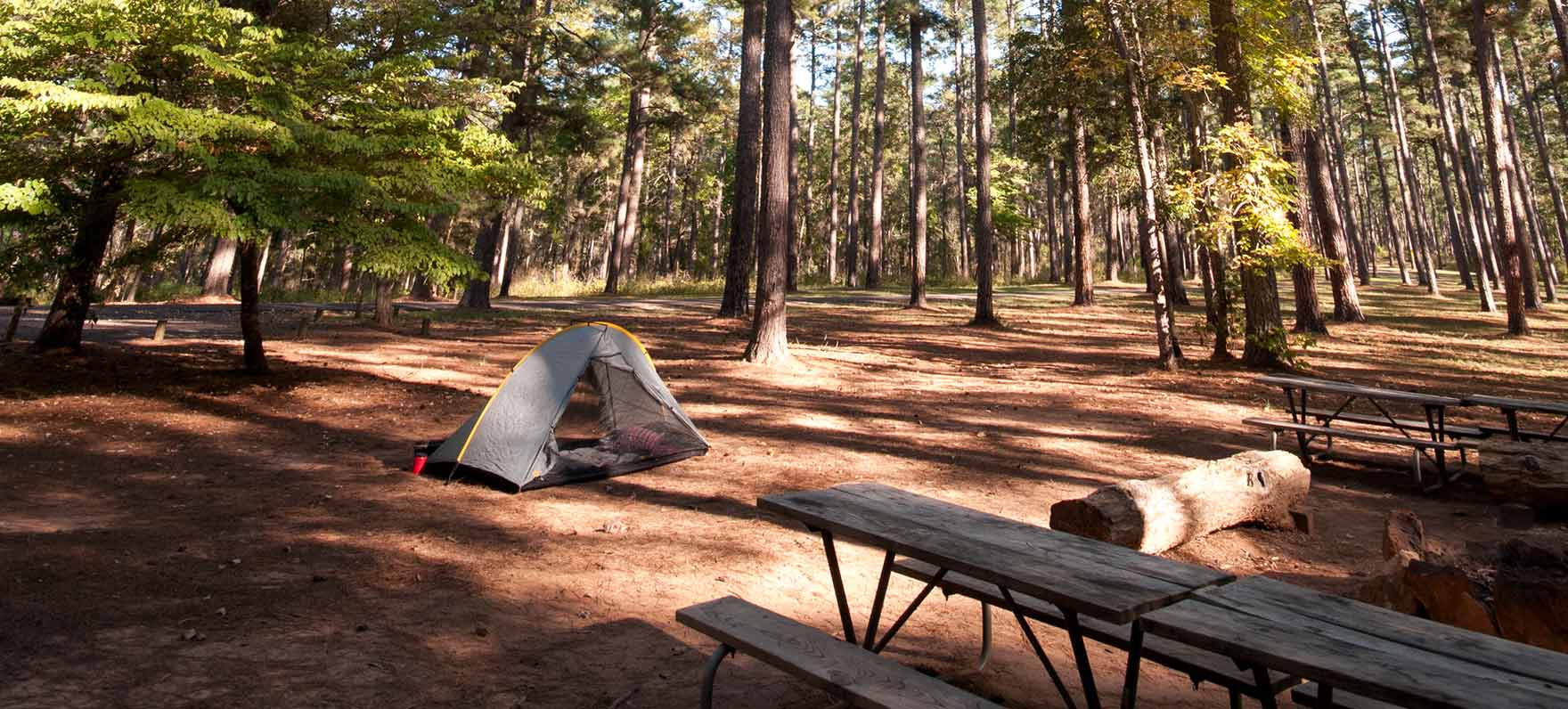Mission Tejas Campground