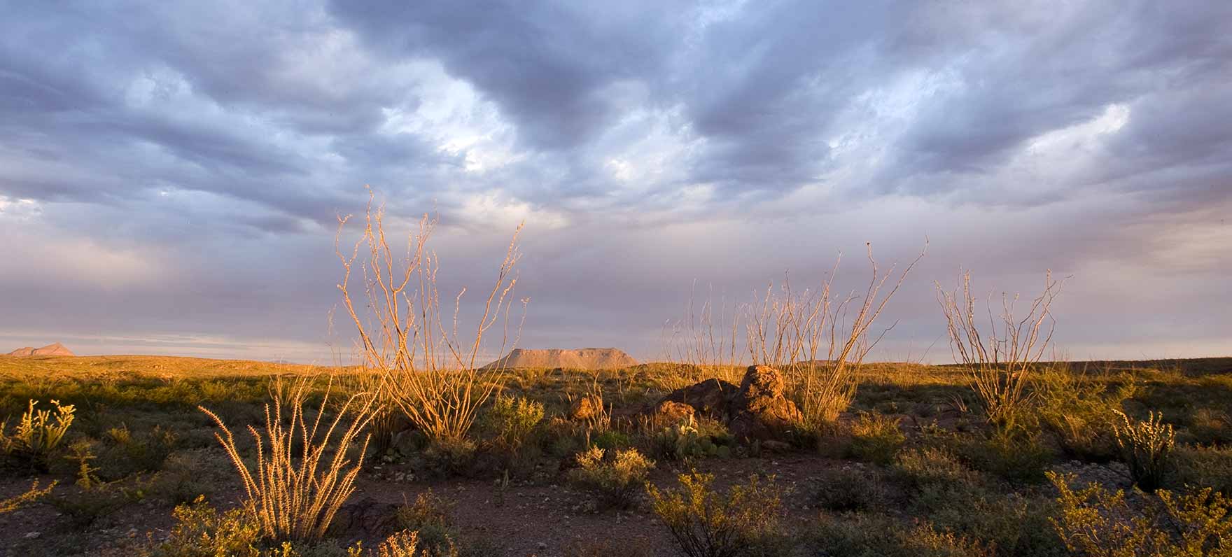Big Bend Ranch State Park