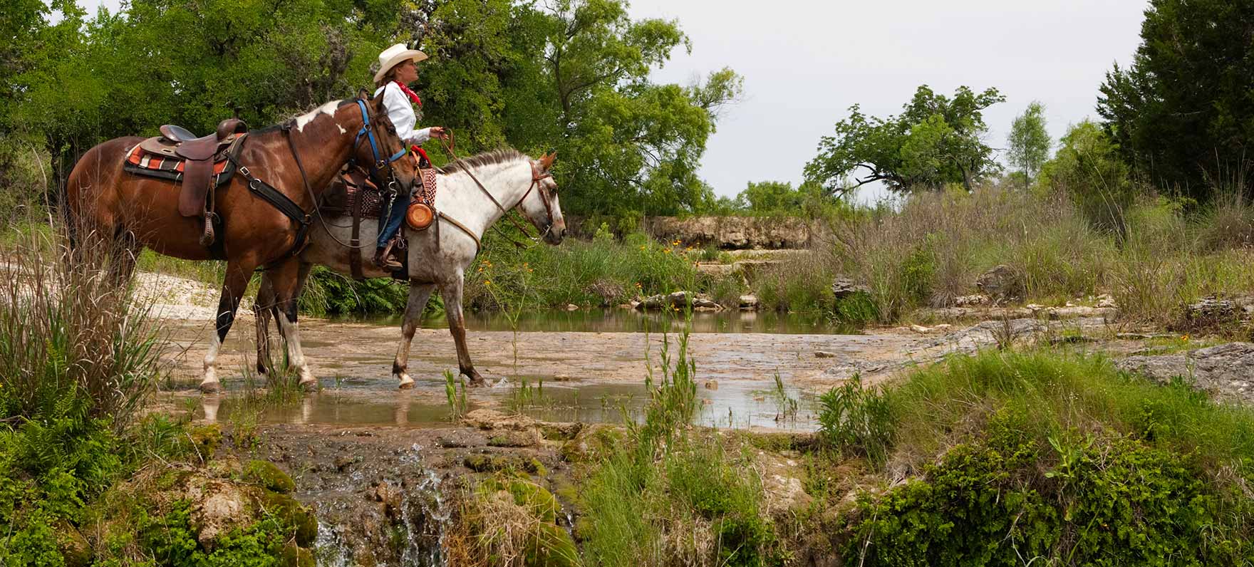 Hill Country State Natural Area