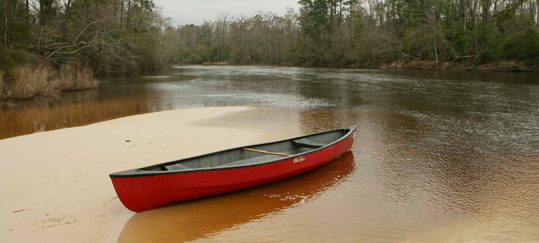 Village Creek State Park