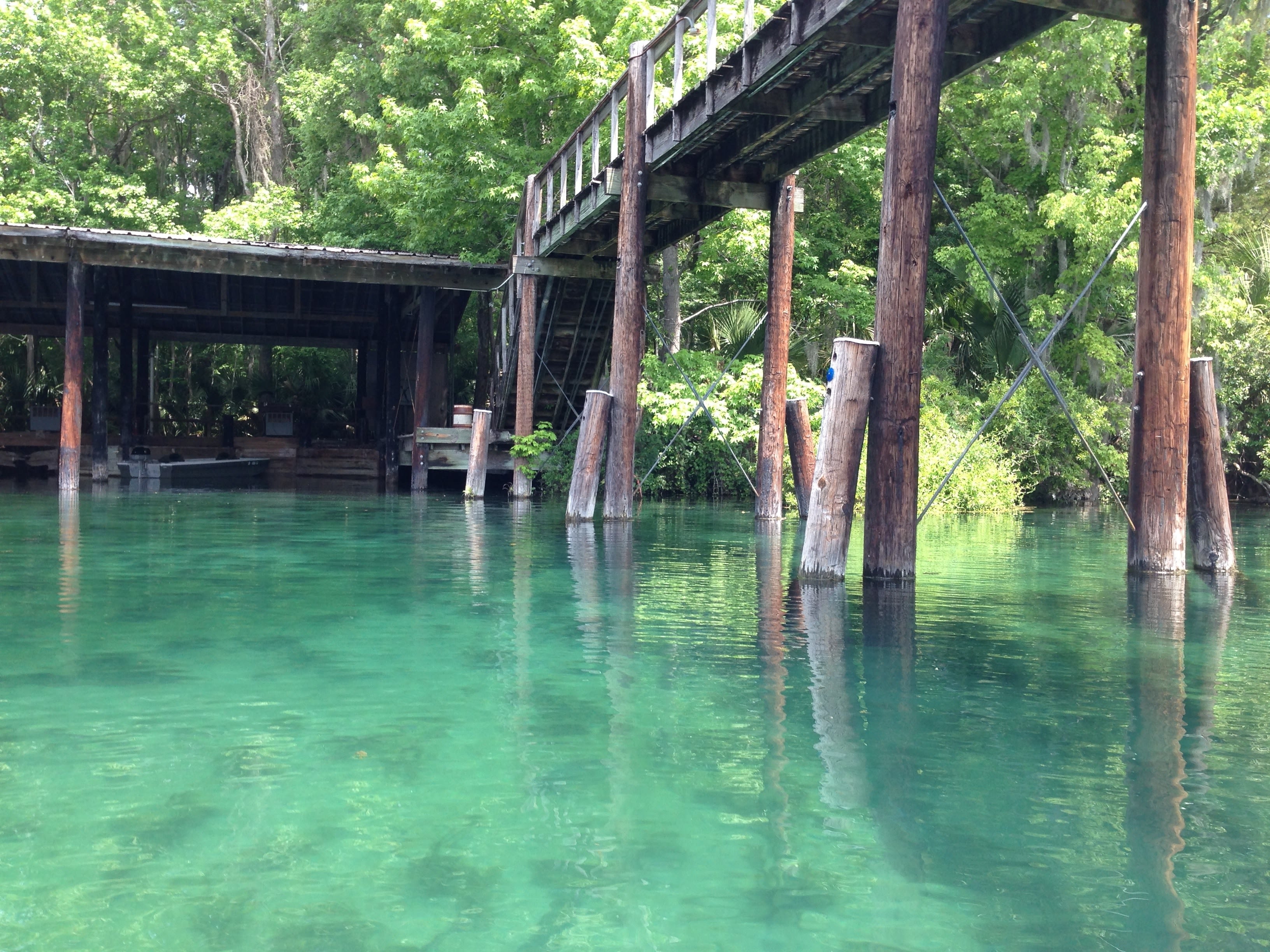 Silver Springs State Park