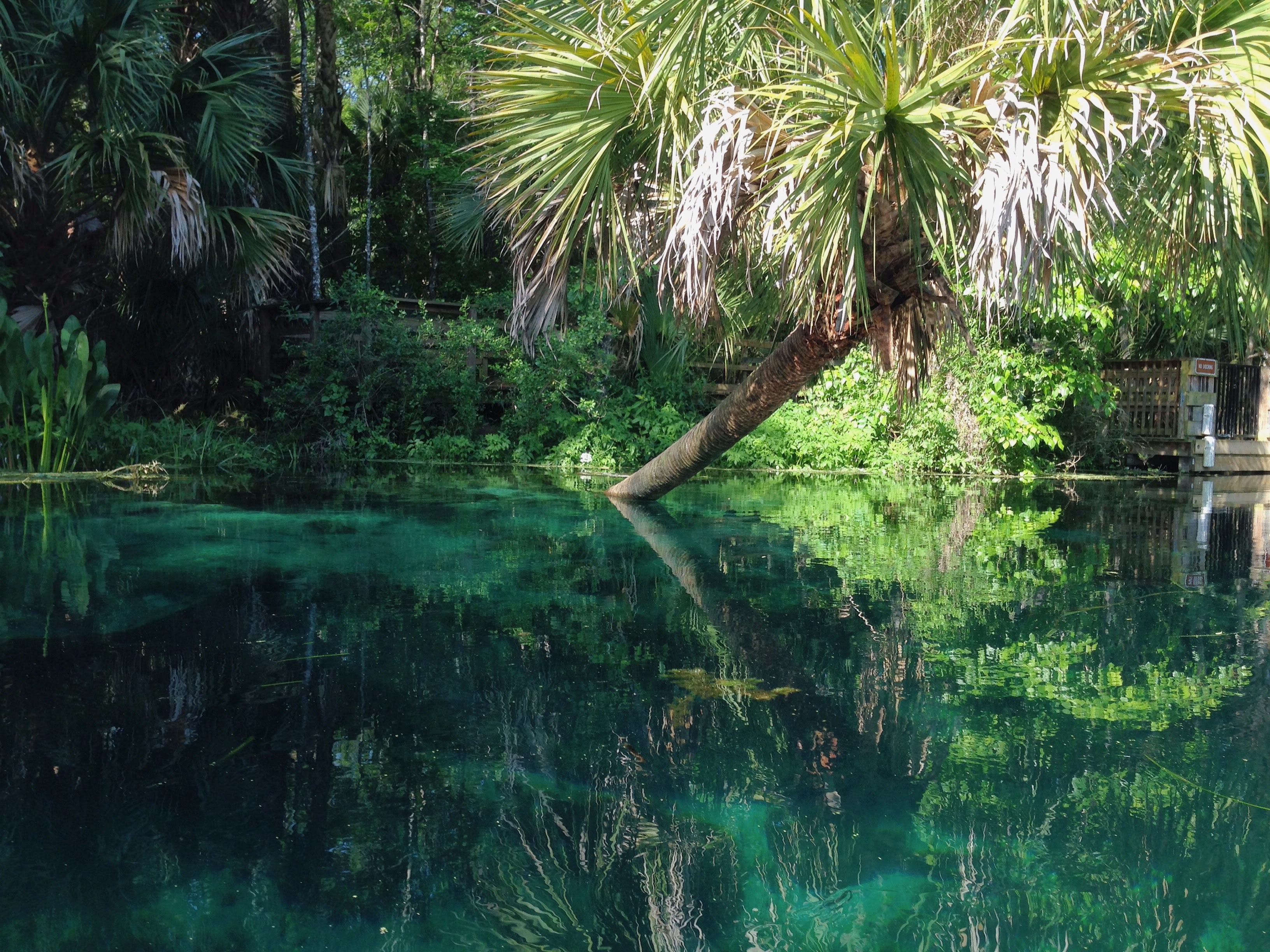 Silver Springs State Park