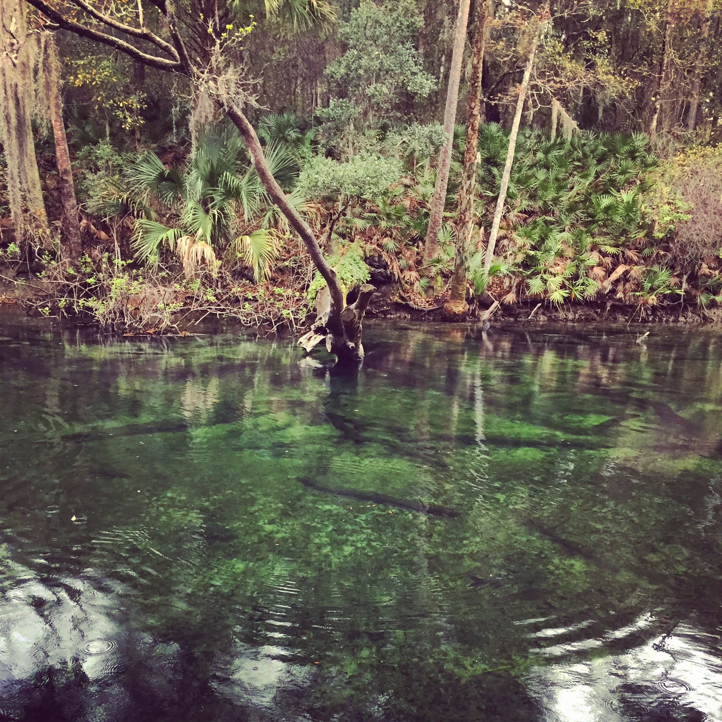 Blue Spring Campground