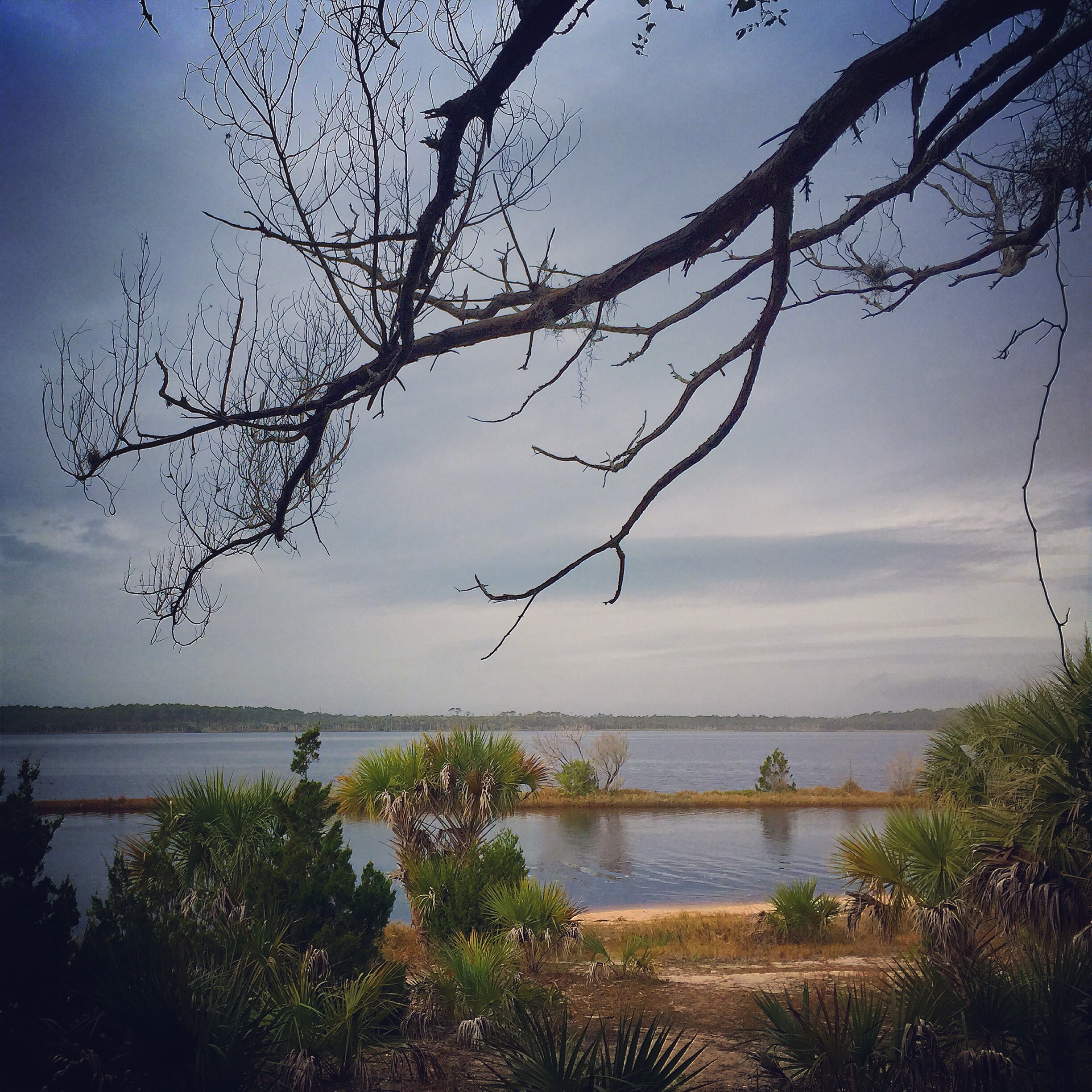 Tomoka State Park