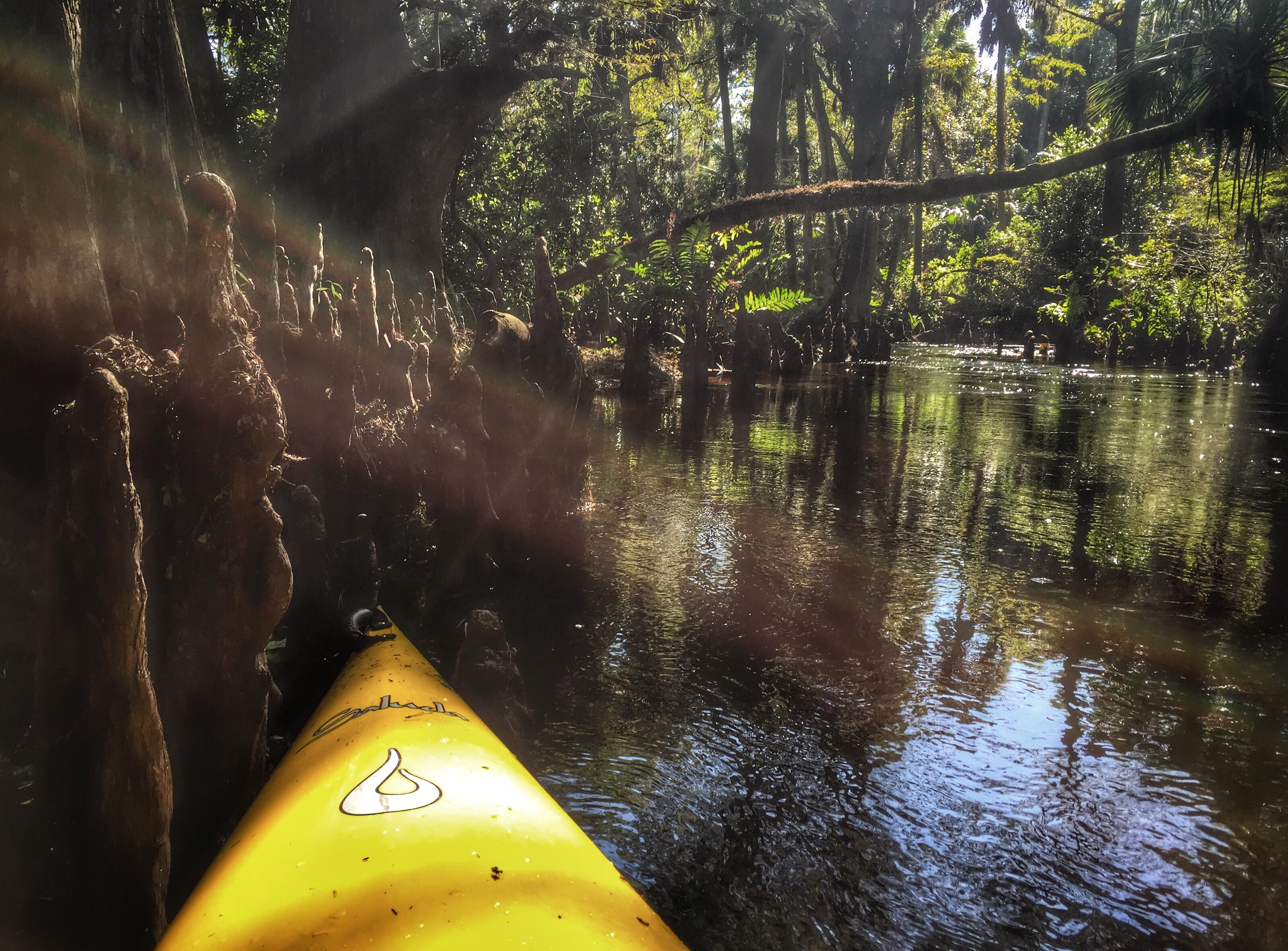 Jonathan Dickinson State Park