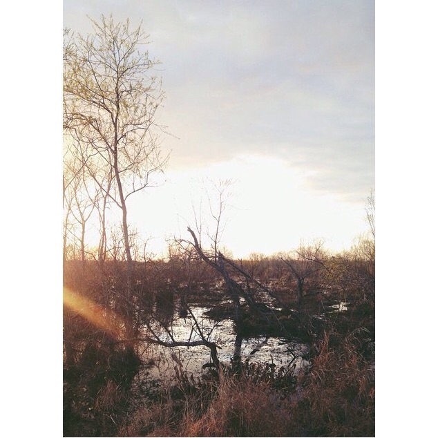 Paynes Prairie Campground
