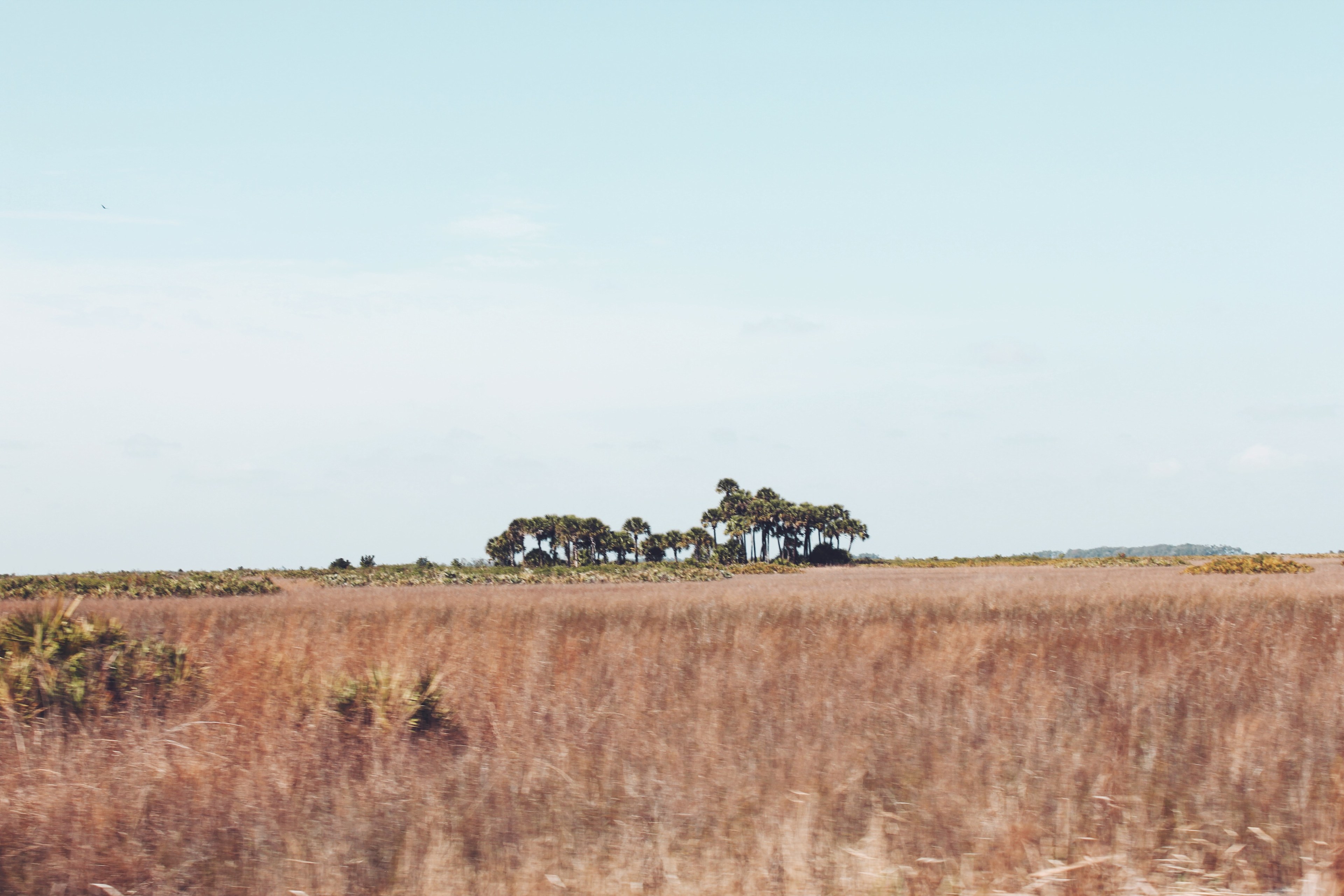 Kissimmee Prairie Preserve State Park