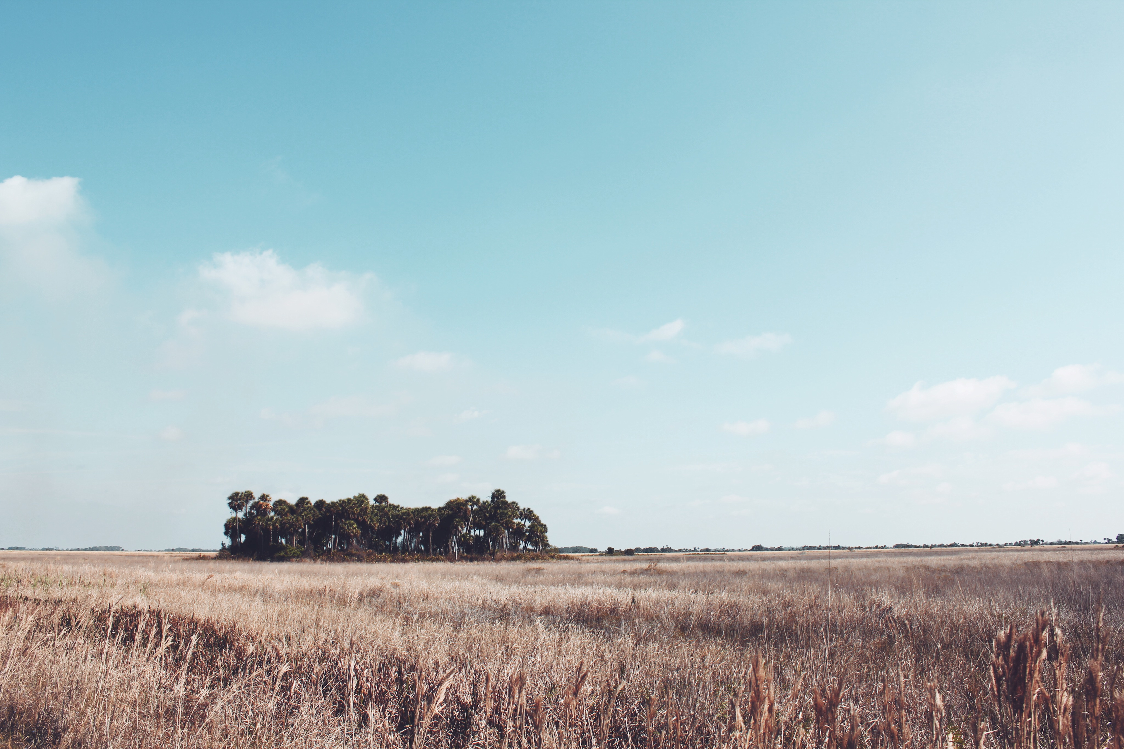 Kissimmee Prairie Preserve State Park