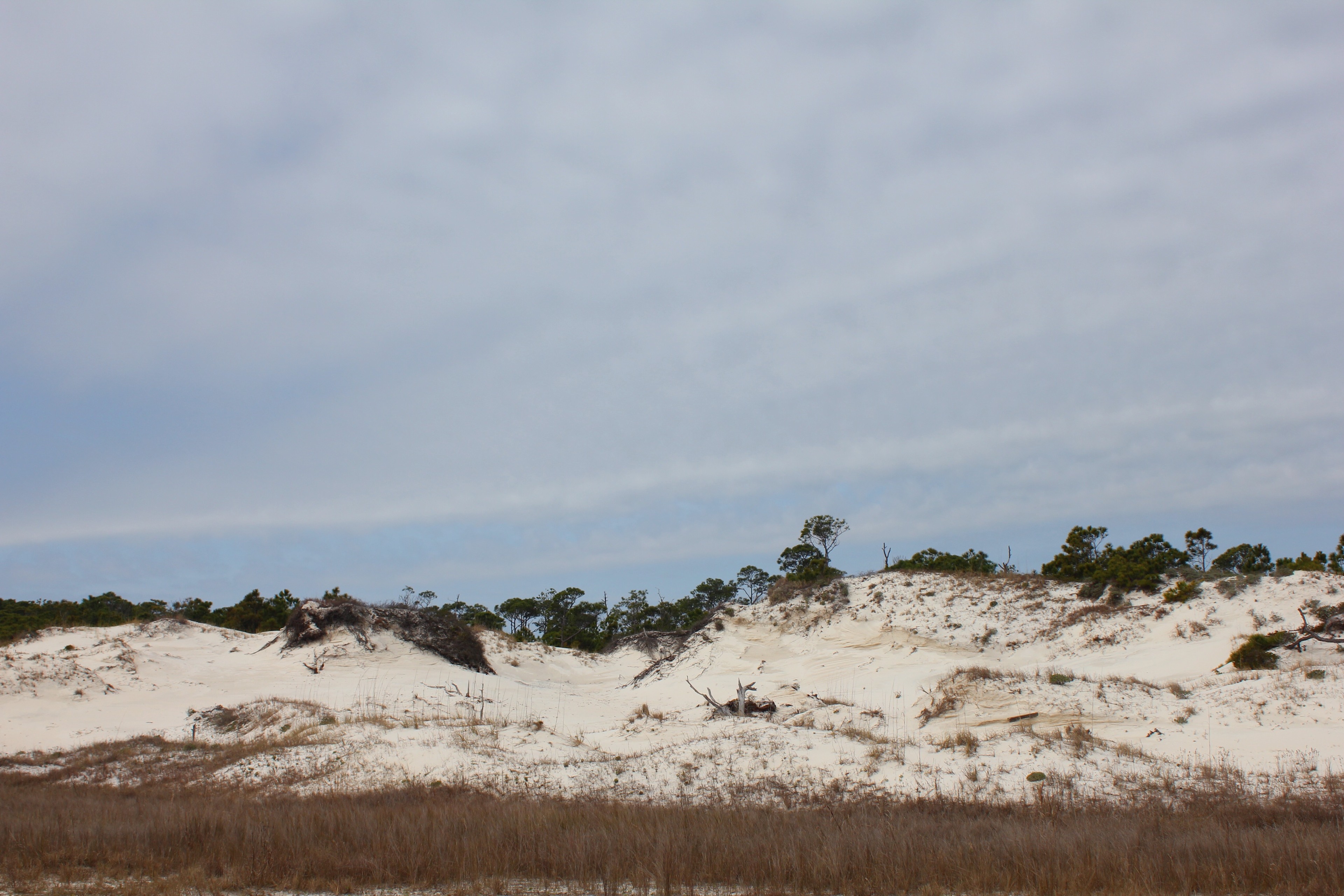 Dr. Julian G. Bruce St. George Island State Park
