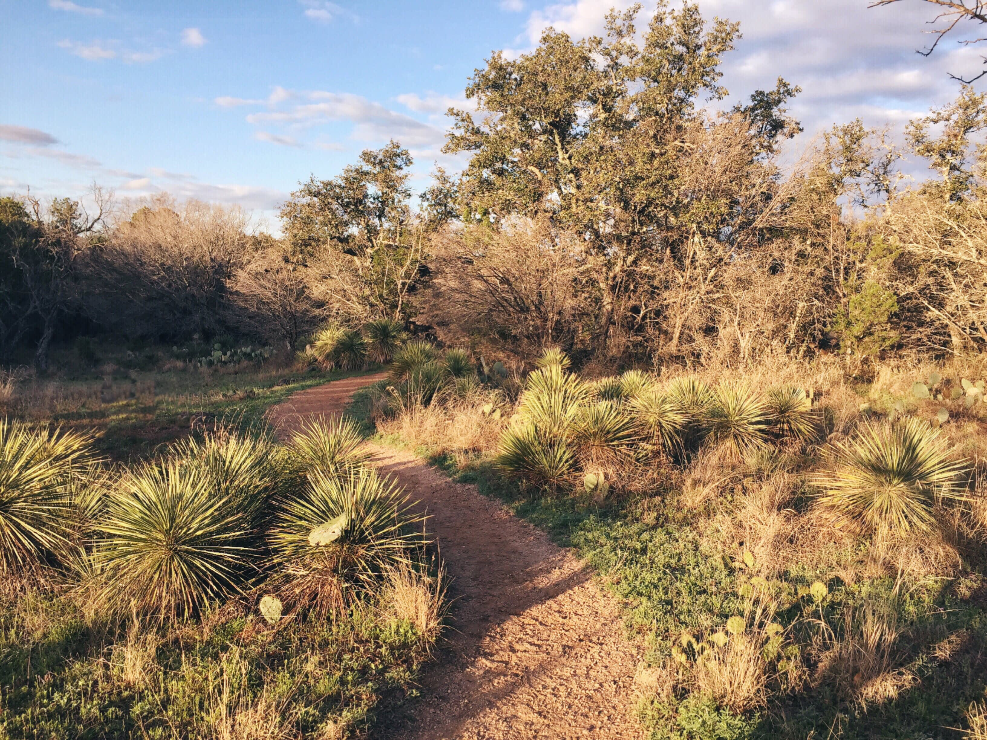 The hike to our primitive site near the Interpretive Trail. Easy 1.5-2 mile hike through great scenery