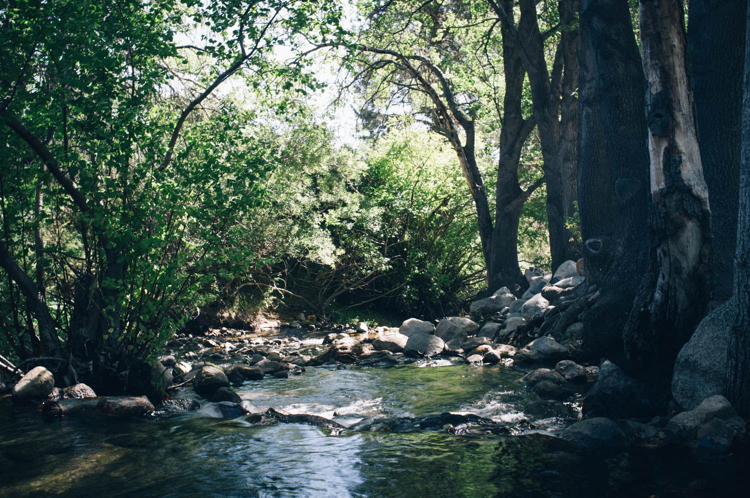 Lone Pine Campground