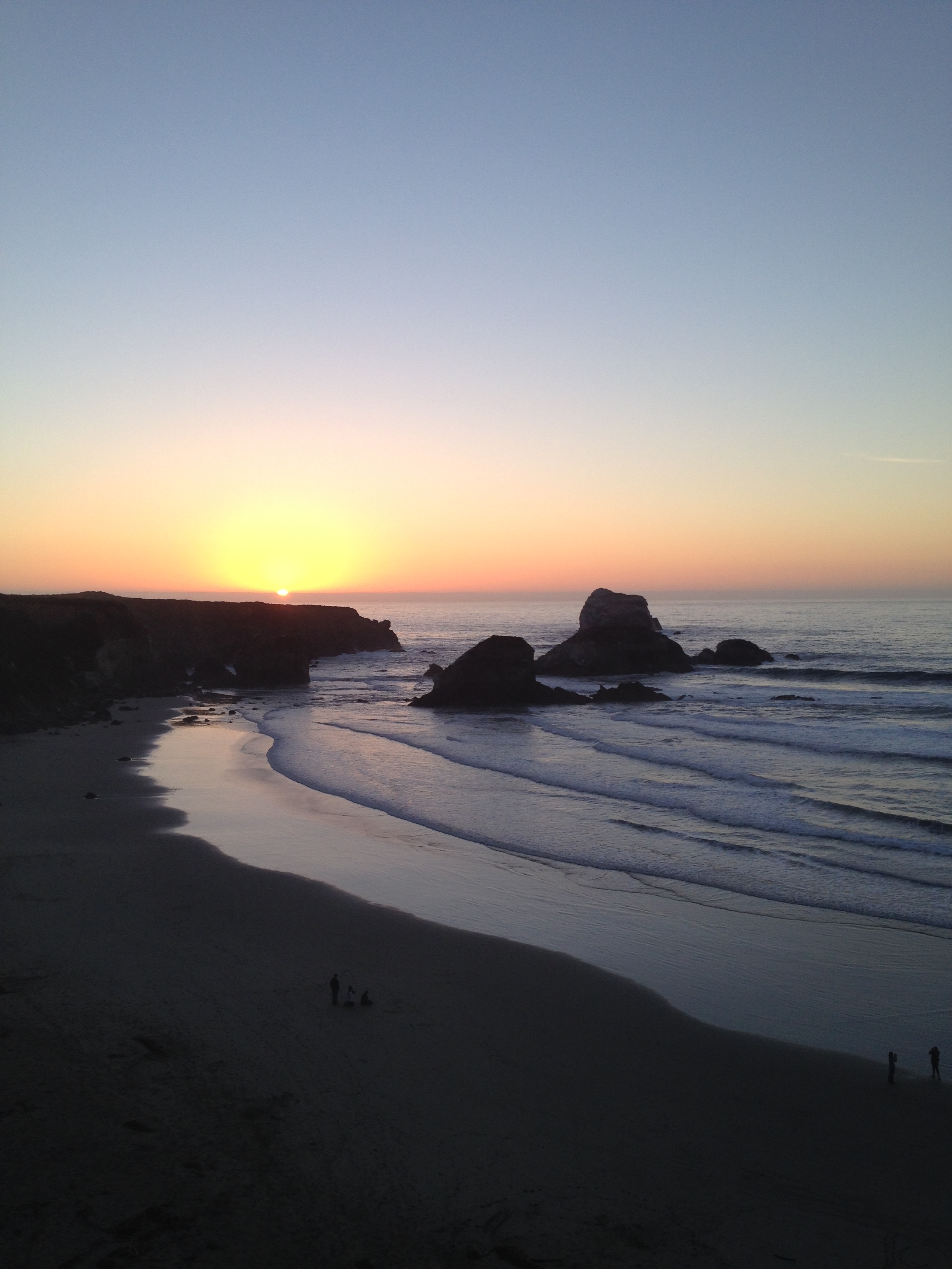 Sweet, sweet Sand Dollar. 