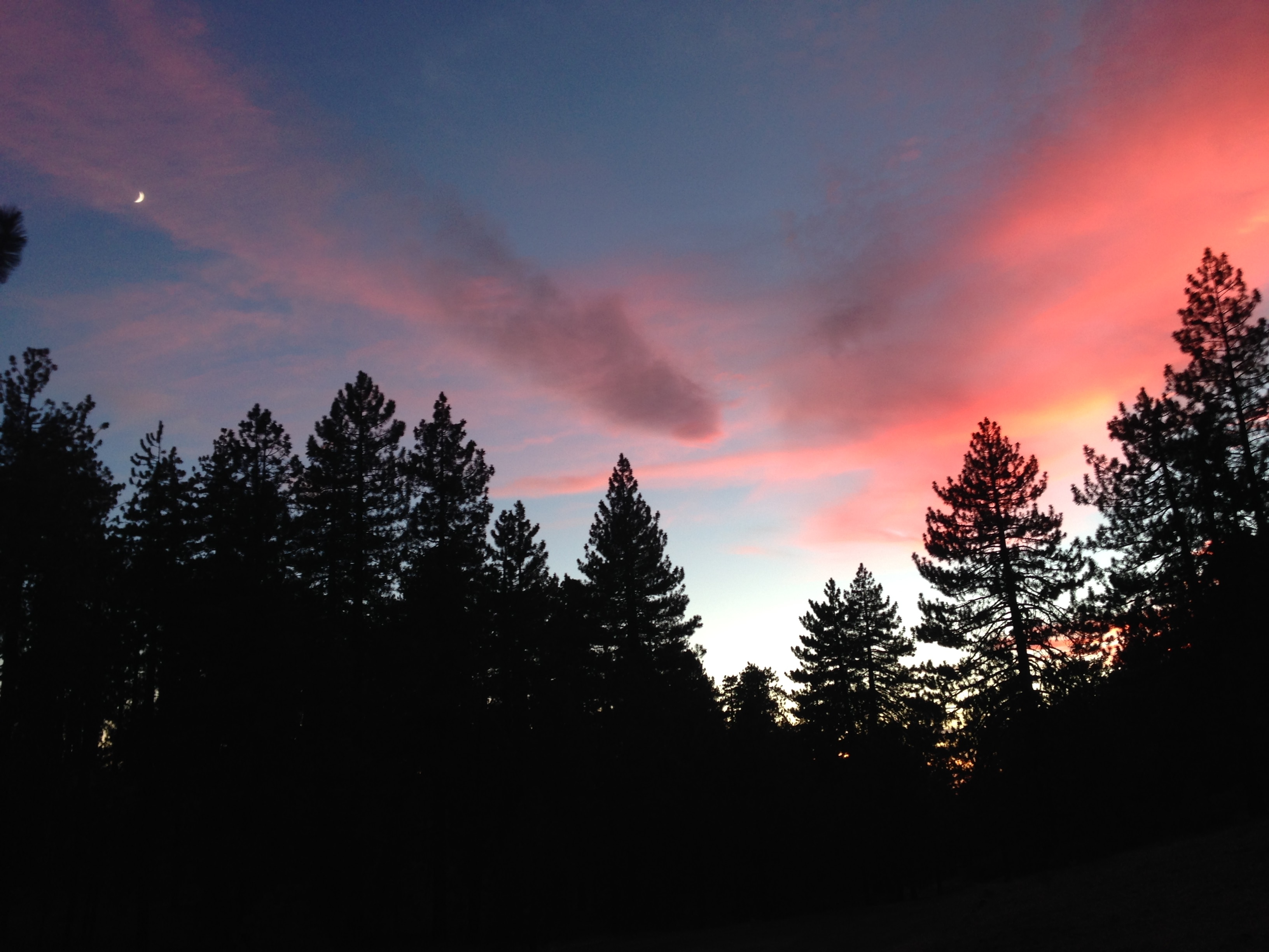 Reyes Peak Campground