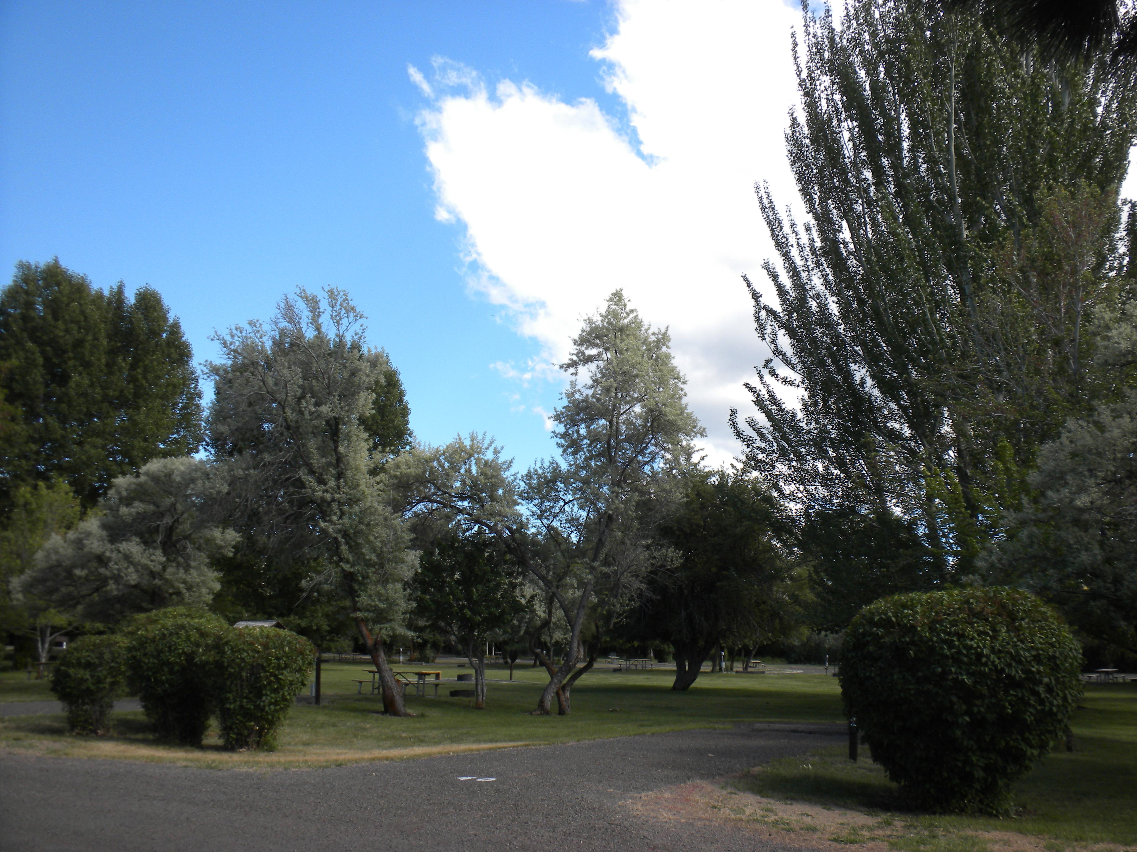This campground is really nice! Well kept, great hot showers, and the birding is phenomenal. You cannot kayak/canoe on the lake, as it's super shallow and very alkaline. I was there at the end of June and it was so quiet and lovely!
