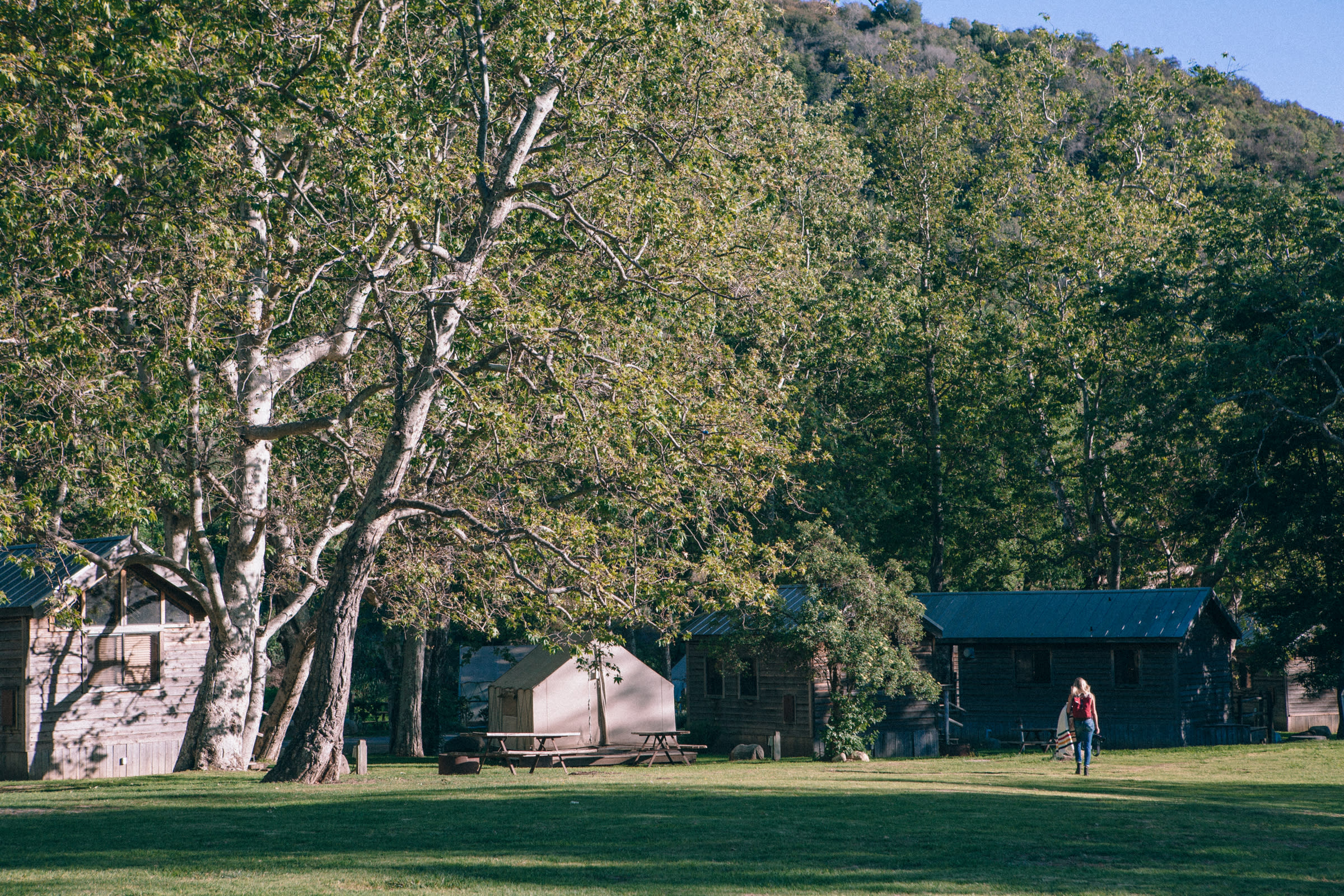love the variety of tent cabins vs wood cabins.