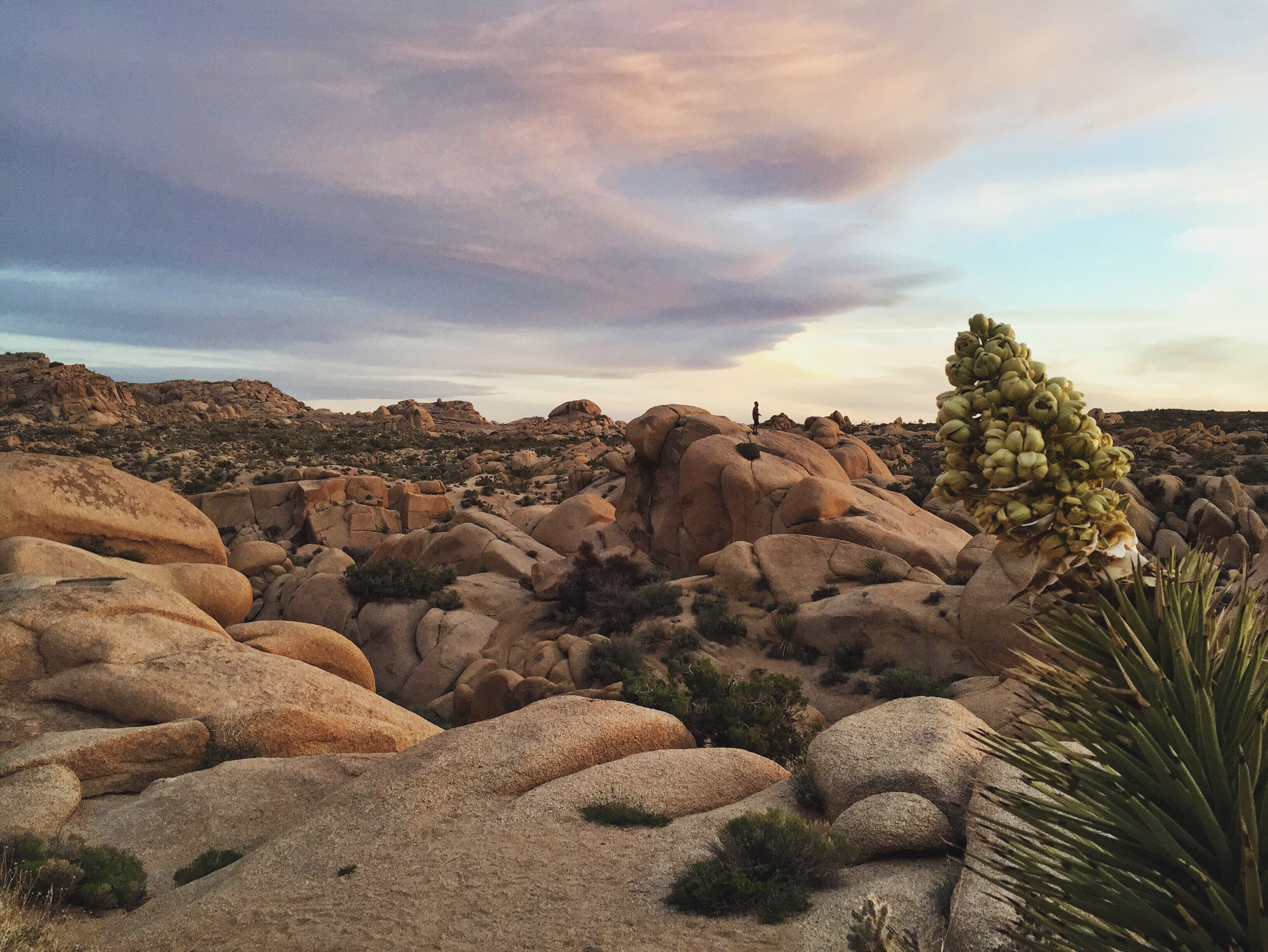 Sunset at Jumbo Rocks