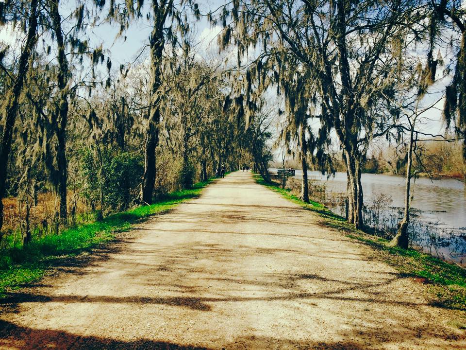 One of the main walking trails