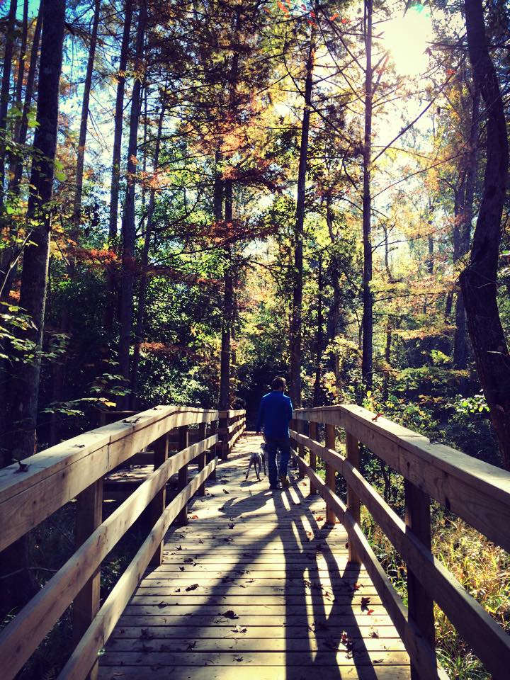 Beautiful colors in the fall