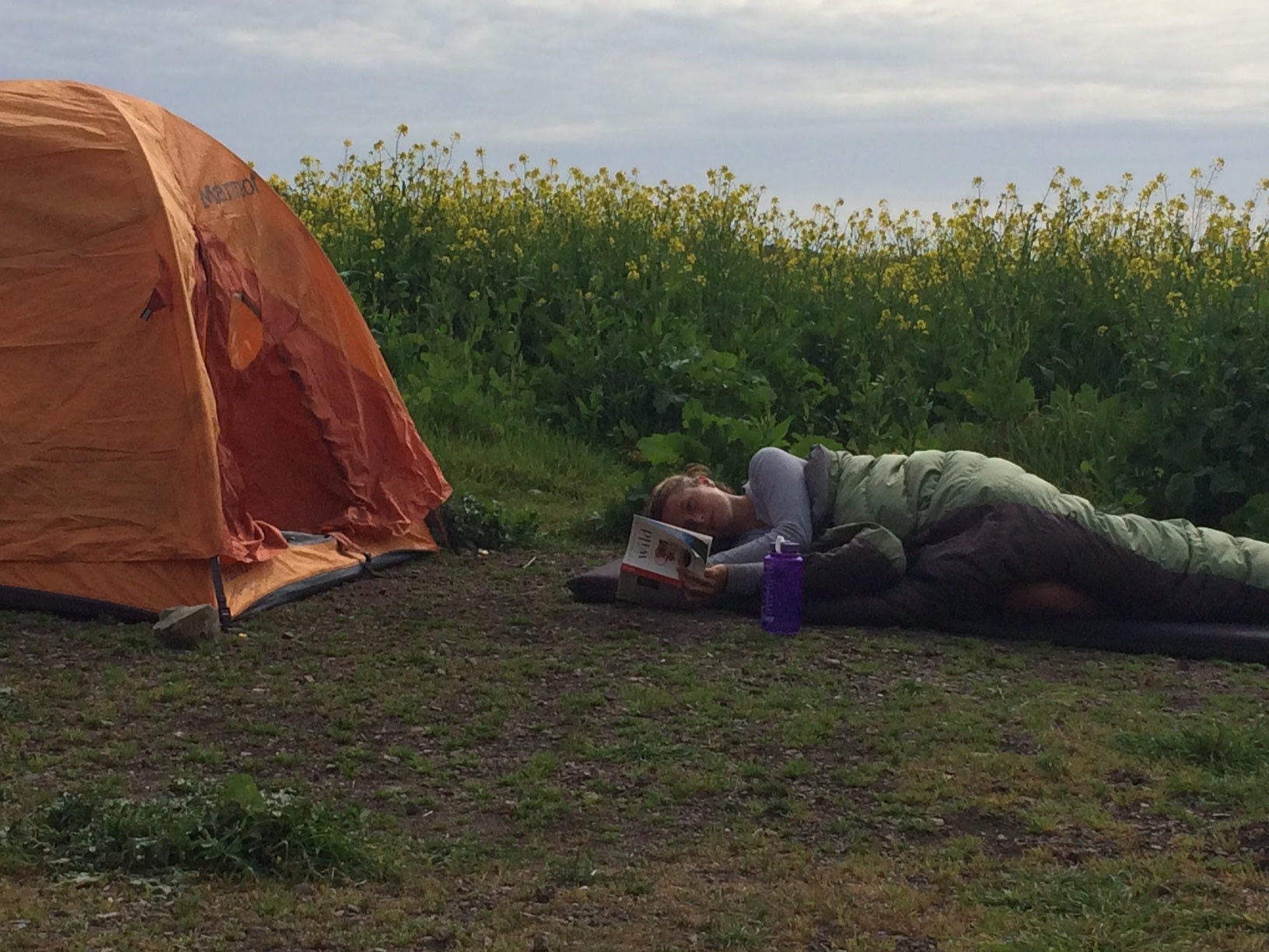 This is not a stage photo. She really was reading WILD, and scoffing just a bit at all the fuss Cheryl Strayed made!
