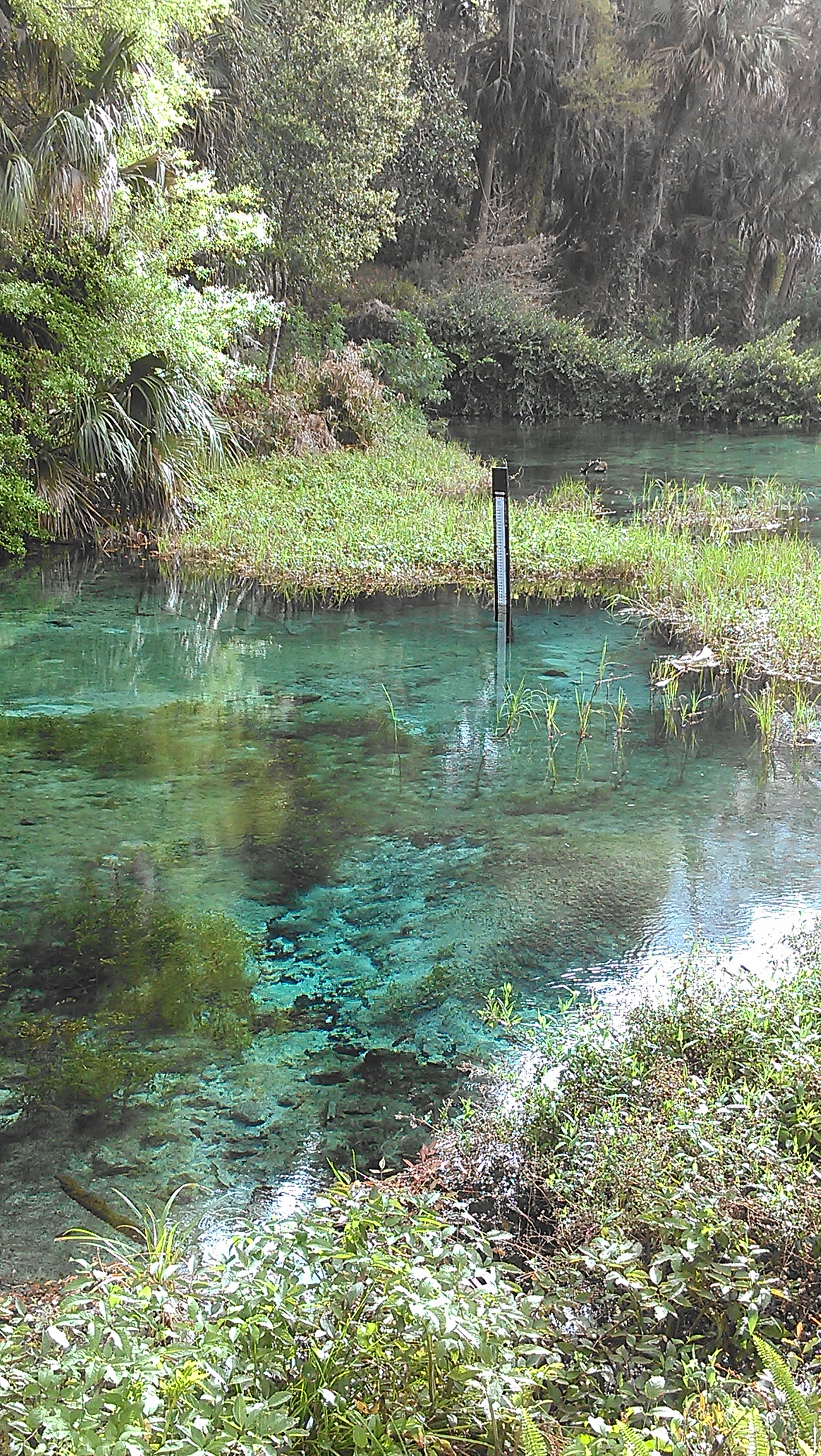 Rainbow Springs Campground