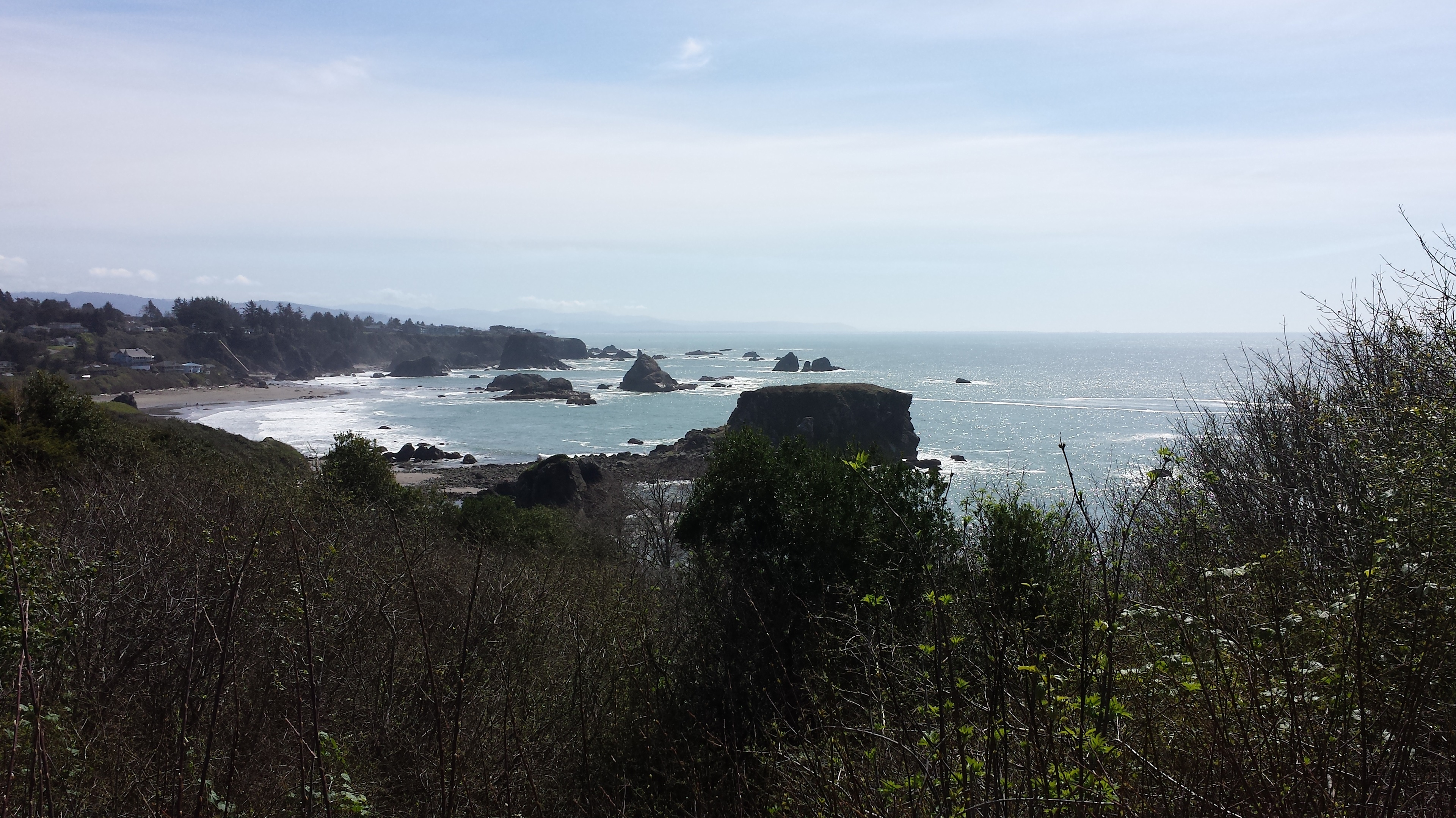 Looking south at Harris Beach Campground_March 2015