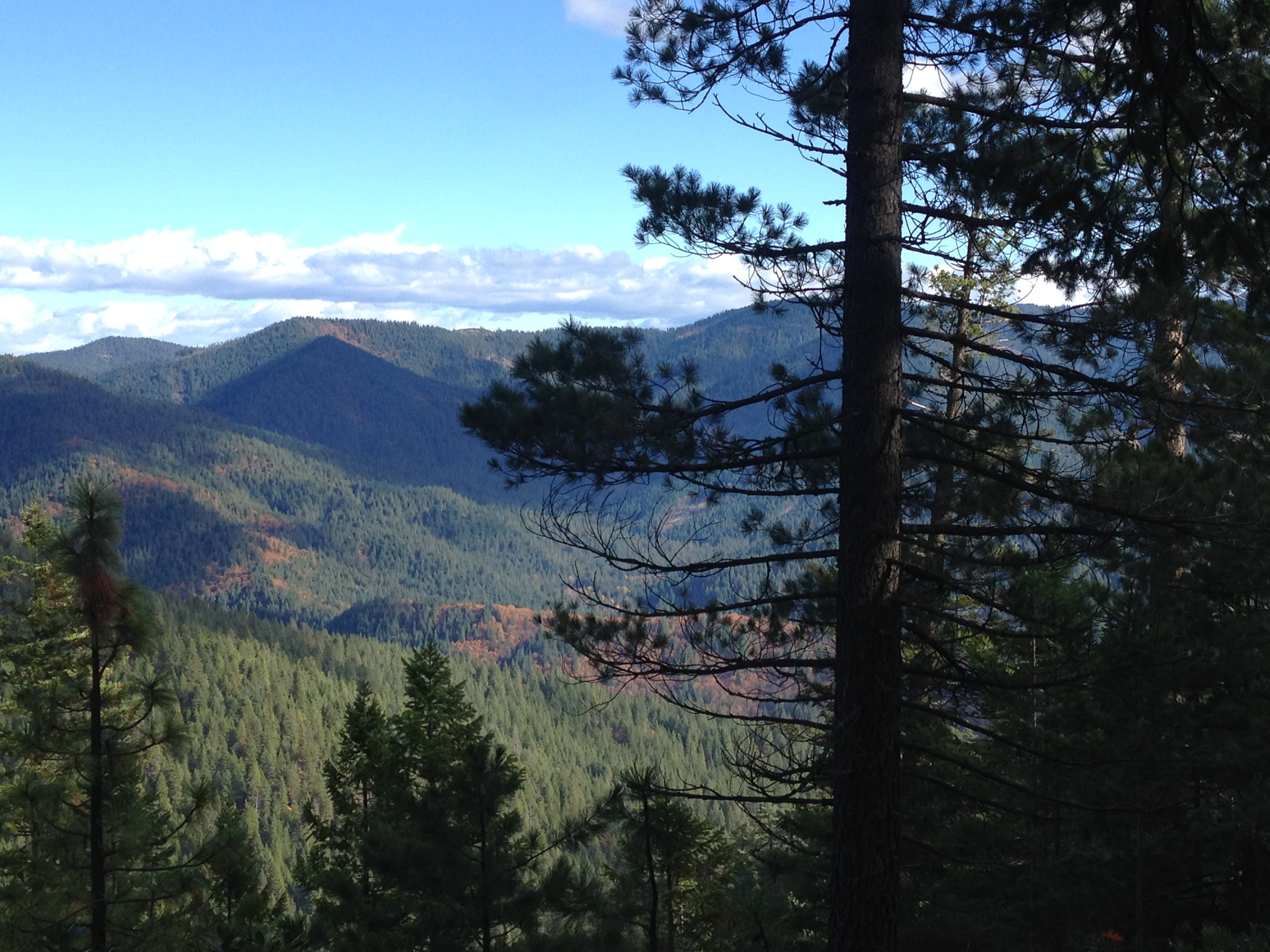 Castle Crags State Park