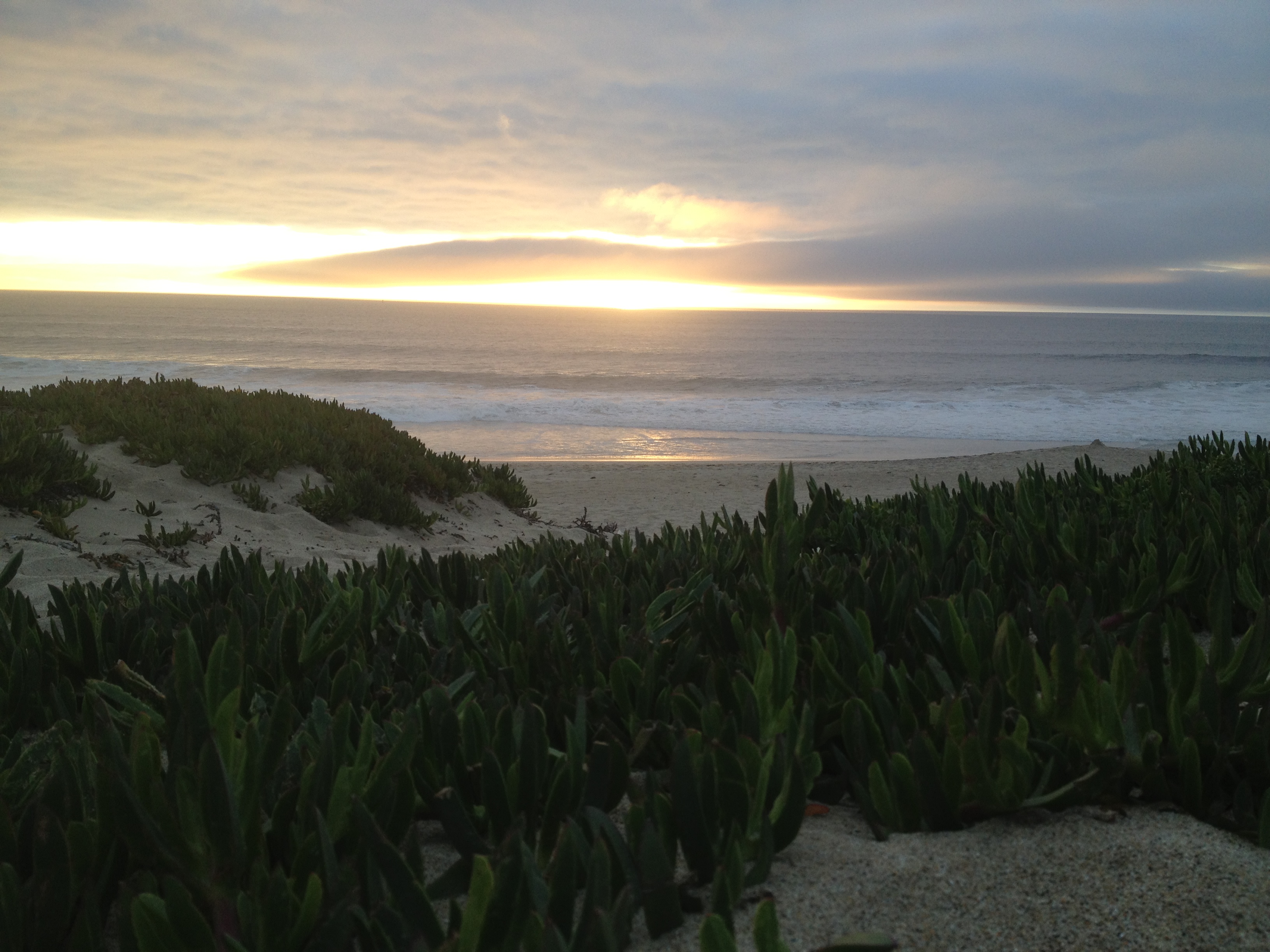 Half Moon Bay State Beach