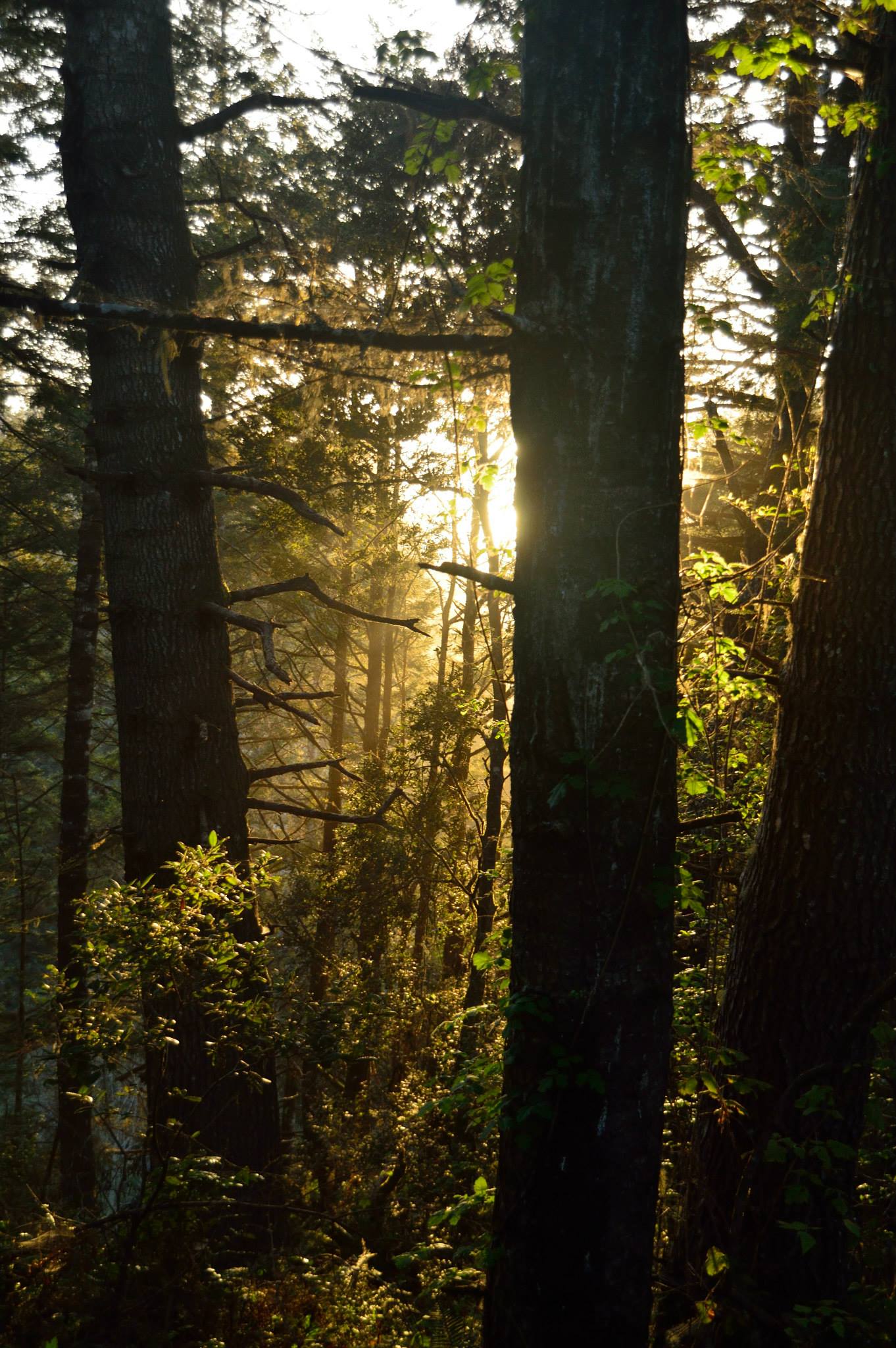 Sunset drew us down to Little River Beach