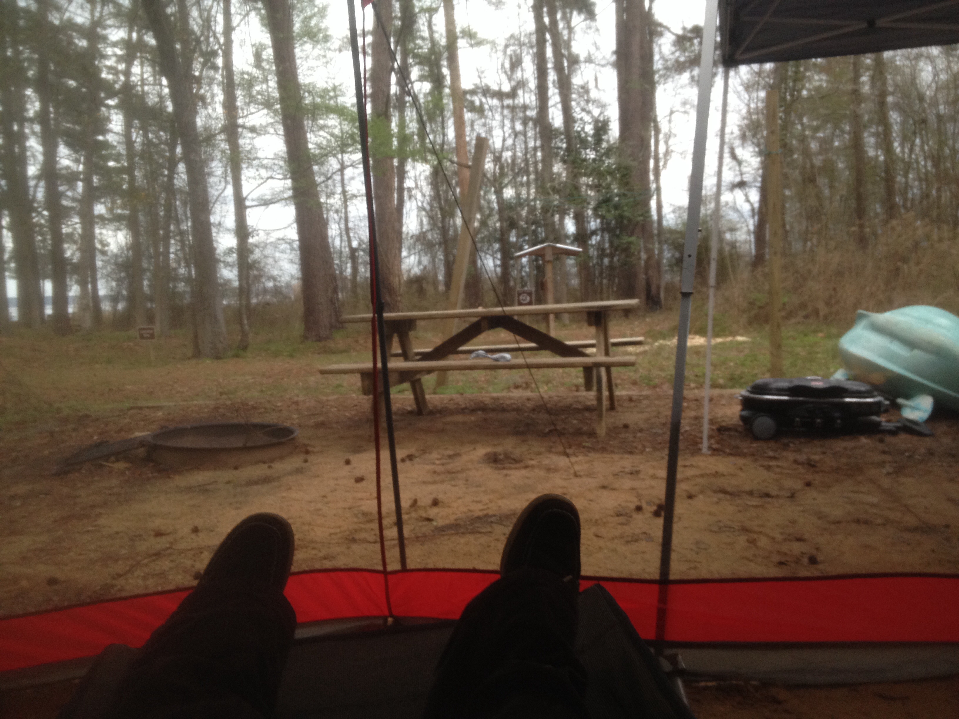 View of Lake Seminole through the trees from my campsite. 