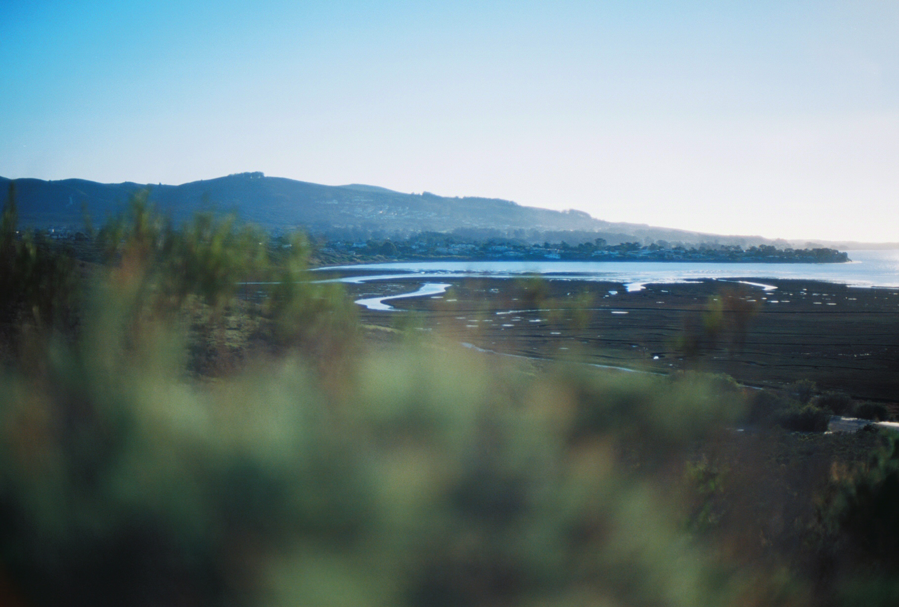 Morro Bay State Park Trail - looking south