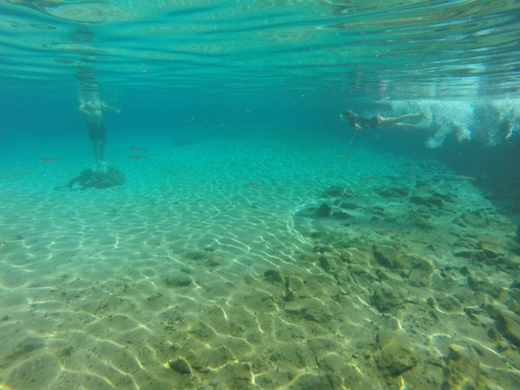 Rainbow Springs State Park
