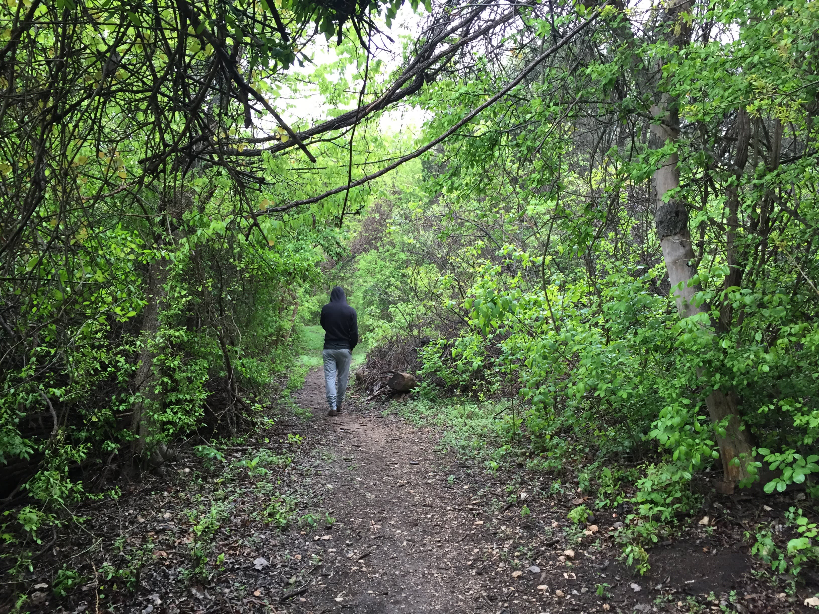 A 2.5 mile trail loops around the lake, through low-lying trees and brush. In the morning many varieties of birds are heard and seen flitting around. 